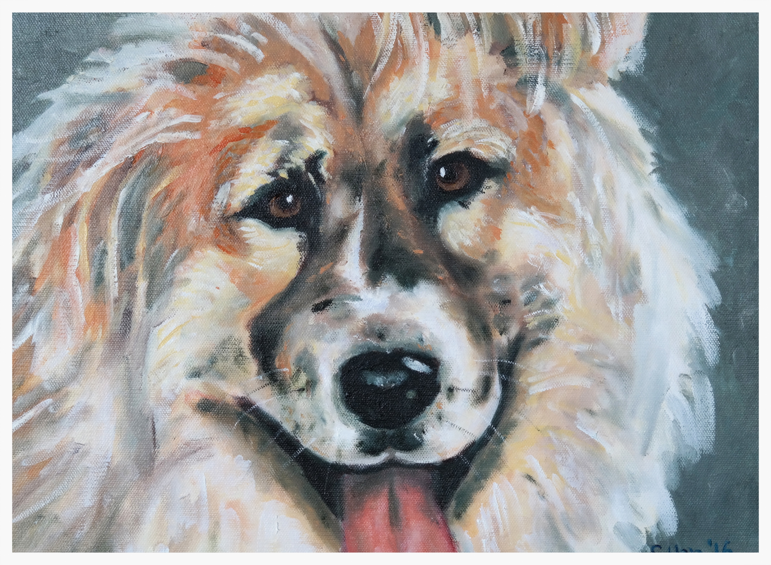 Dog Portrait - Petey