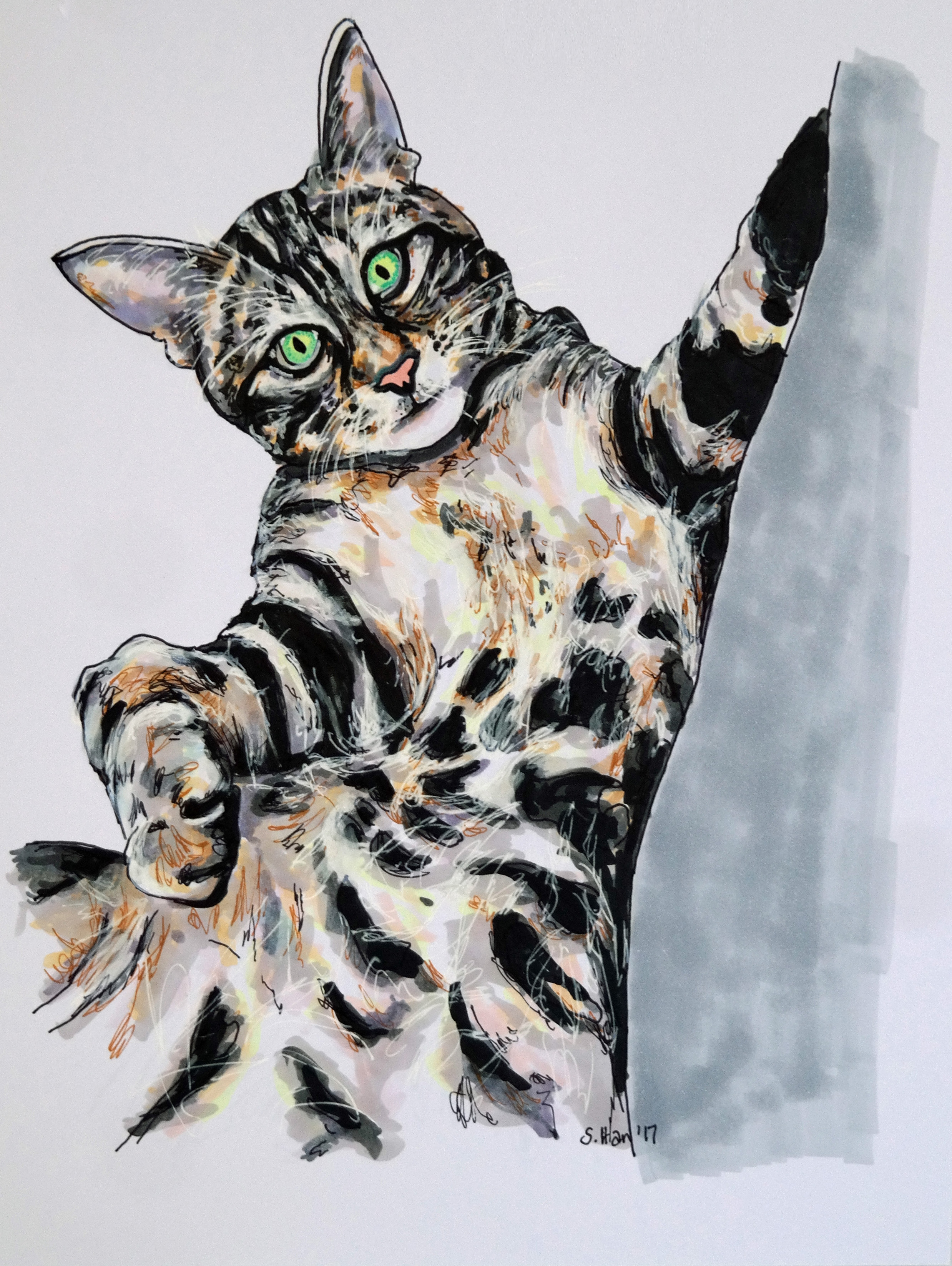 Barley the Cat