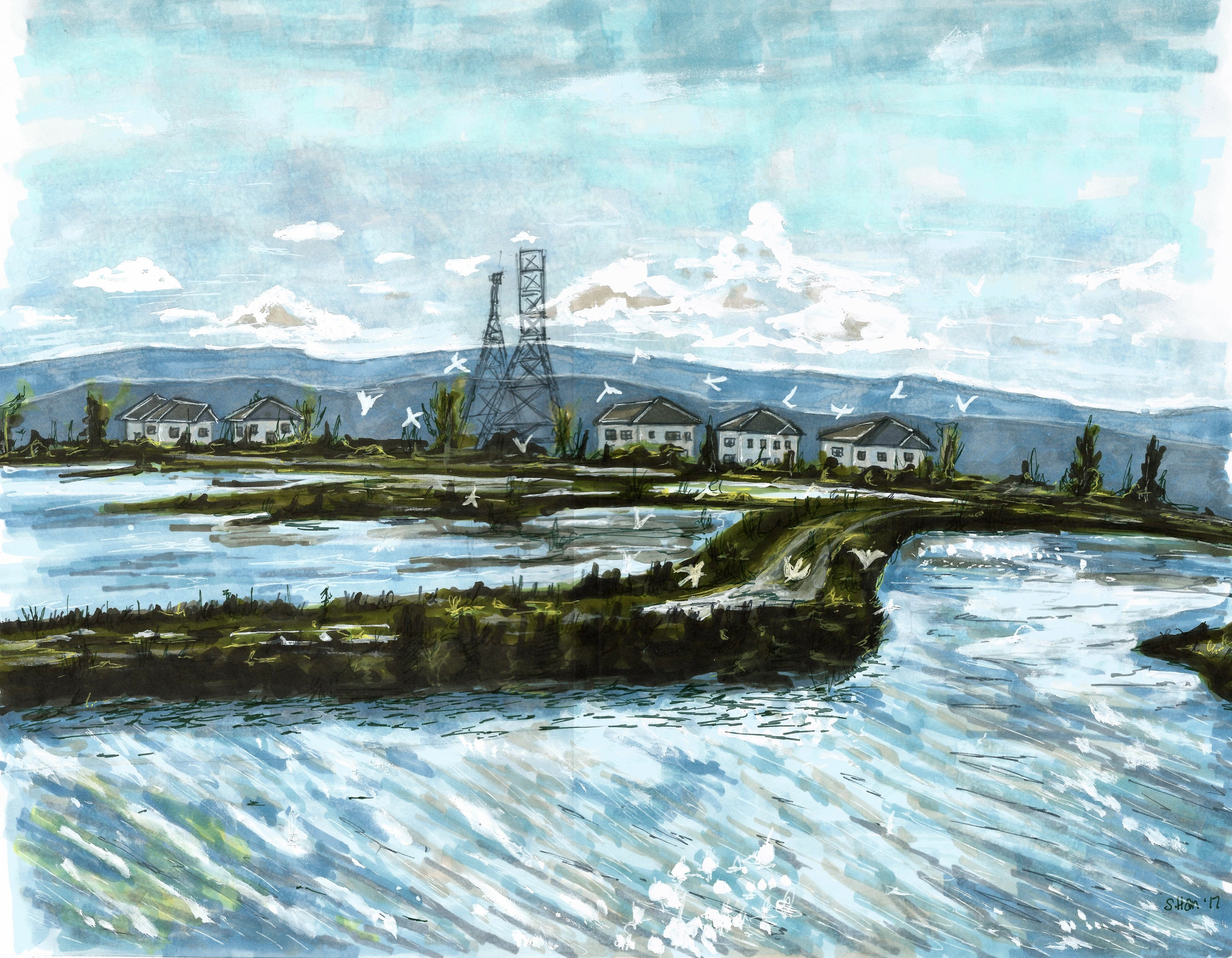 The Marshlands