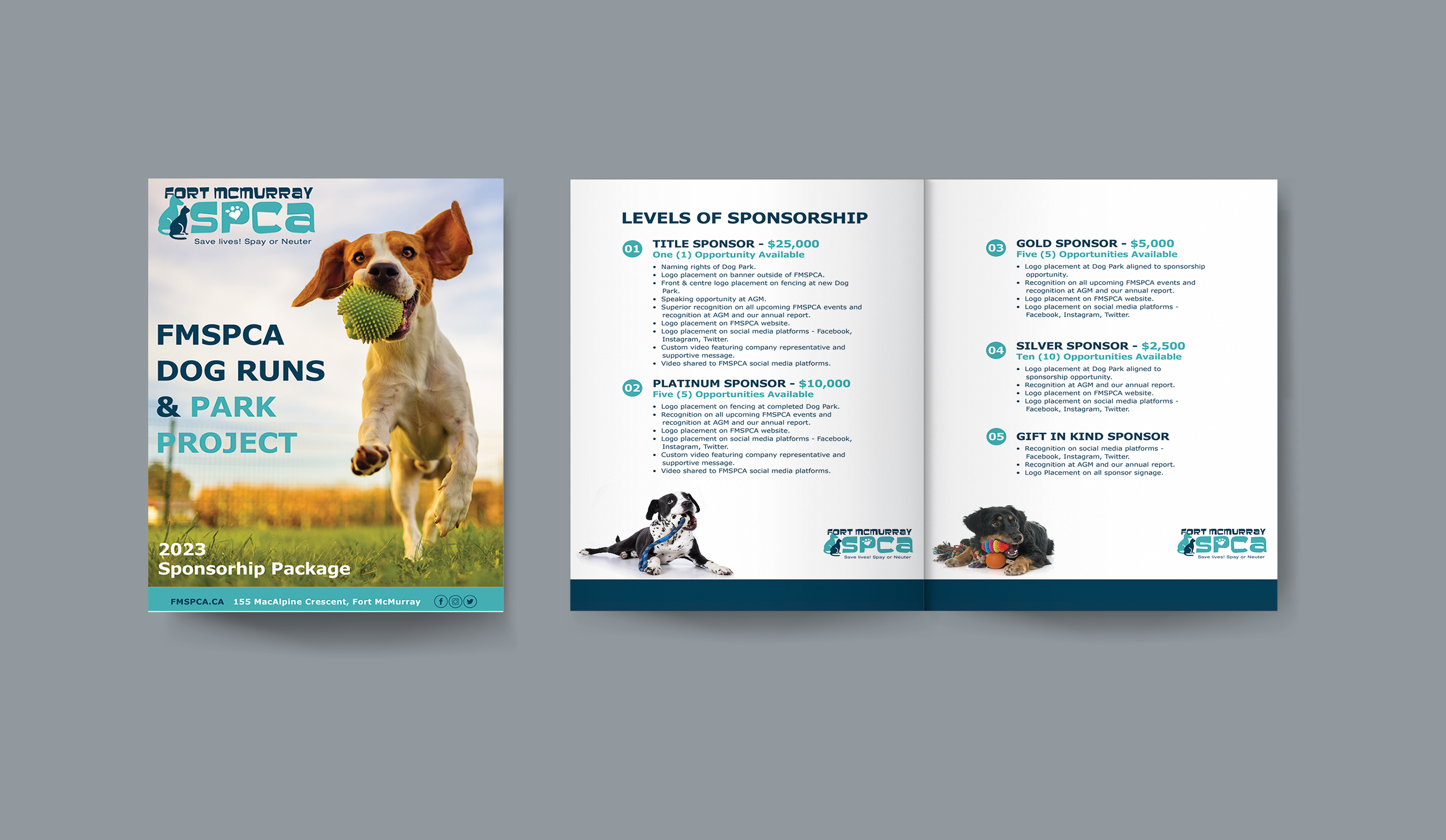 Sponsorship package design details 