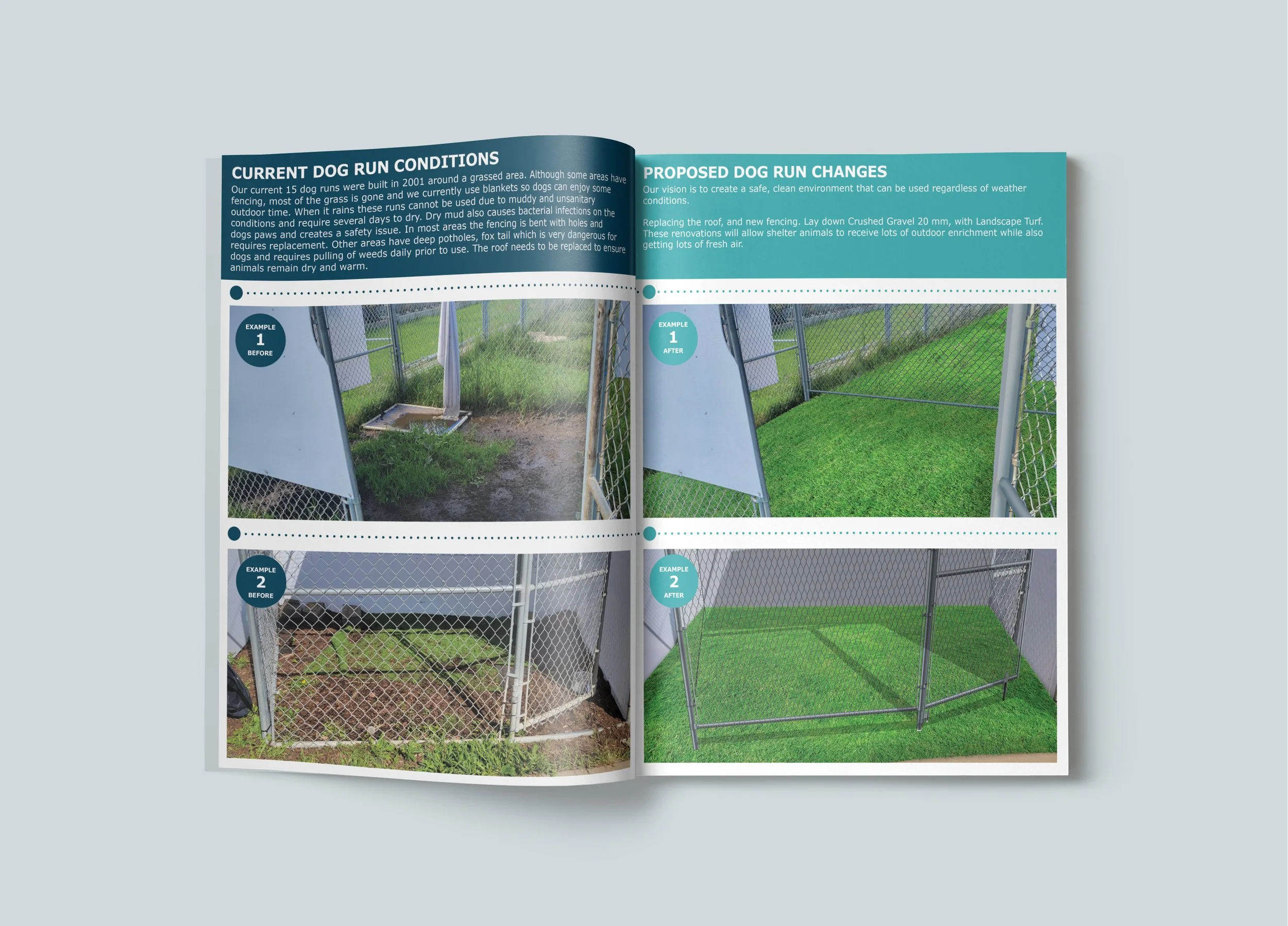 Dog run before and after examples