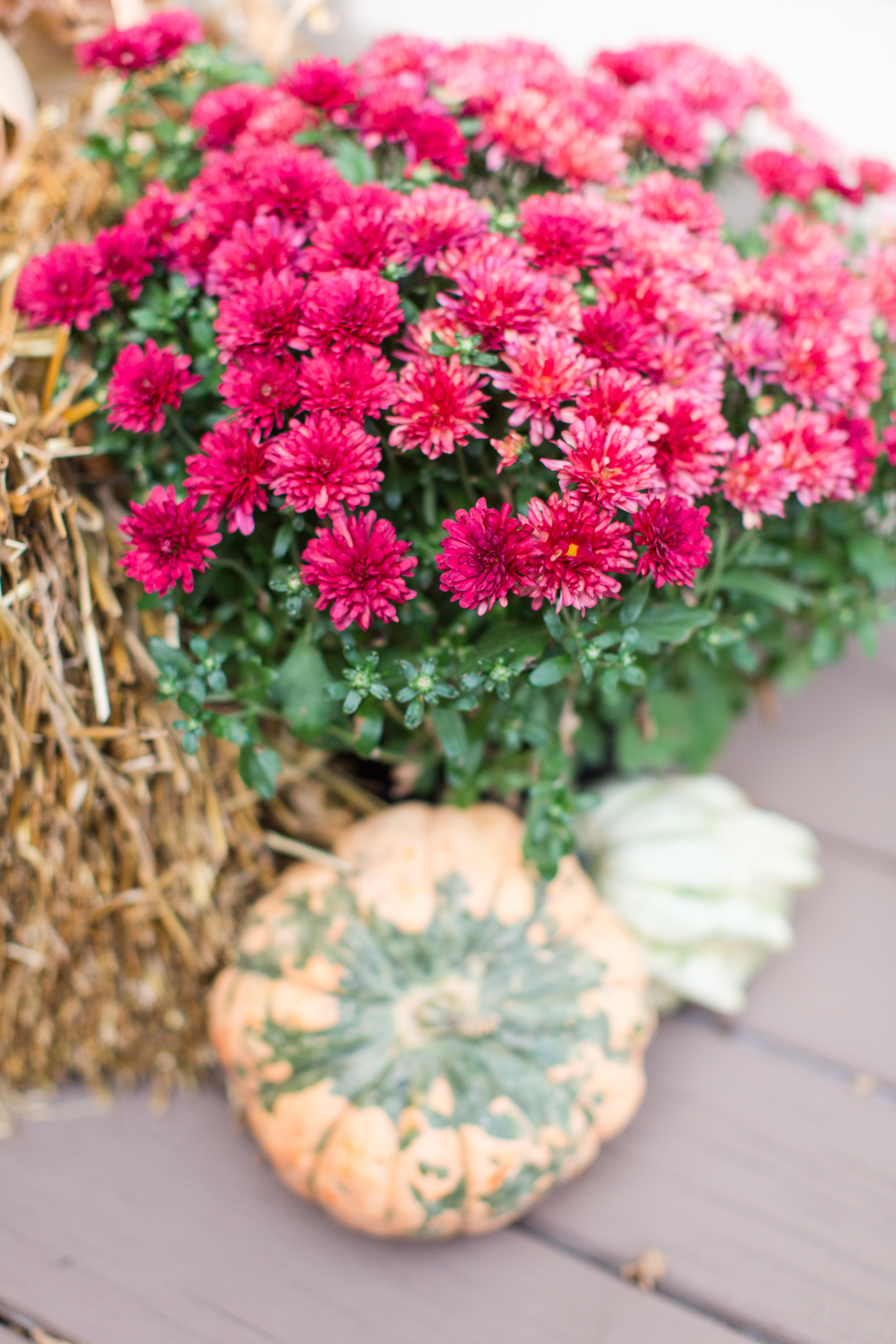 fall decor | front porch | pumpkins | straw bale | decorating | stephanie lynn photography