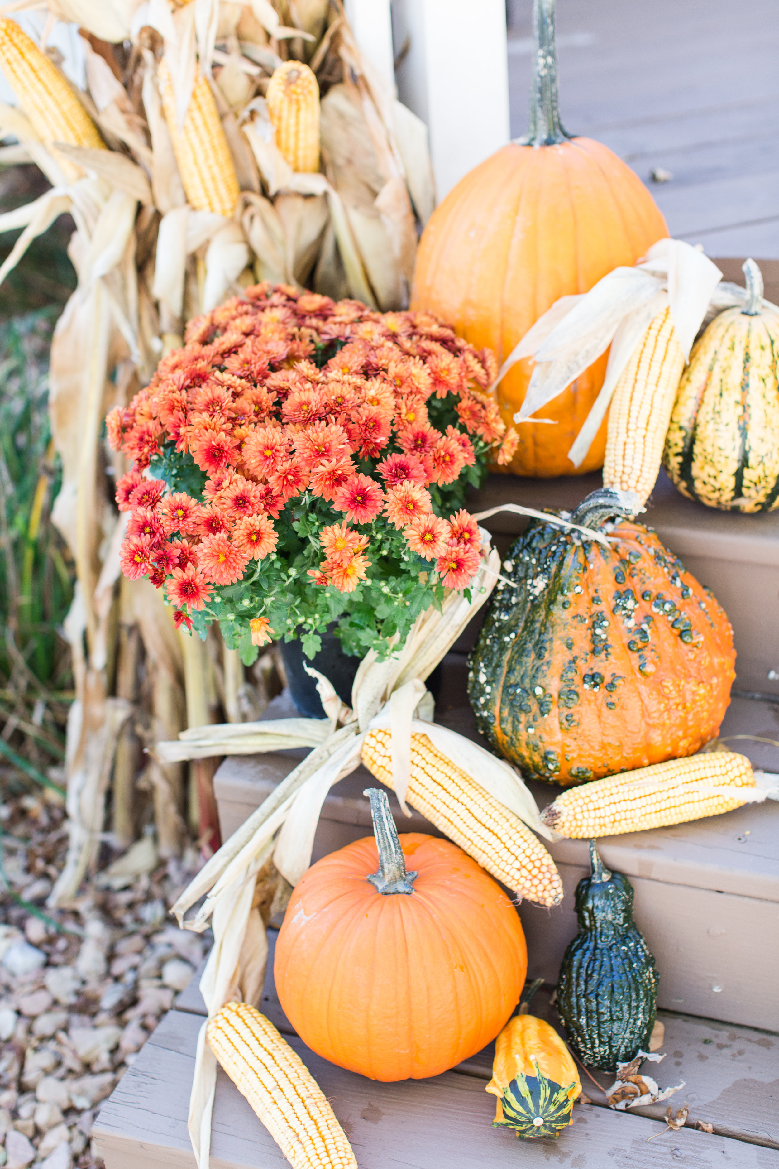 fall decor | front porch | pumpkins | straw bale | decorating | stephanie lynn photography