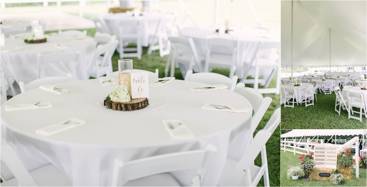 Stephanie Lynn Photography- Strilaeff Wedding, countryside wedding- Glenville, MN_0029.jpg