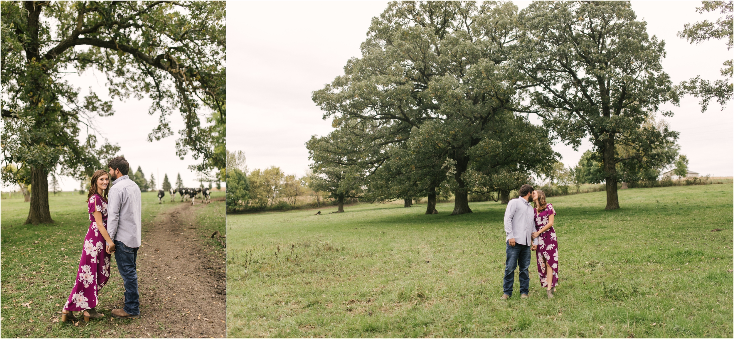 Countryside Engagement Photos_ Minnesota Wedding Photographer_Stephanie Lynn Photography_0059.jpg