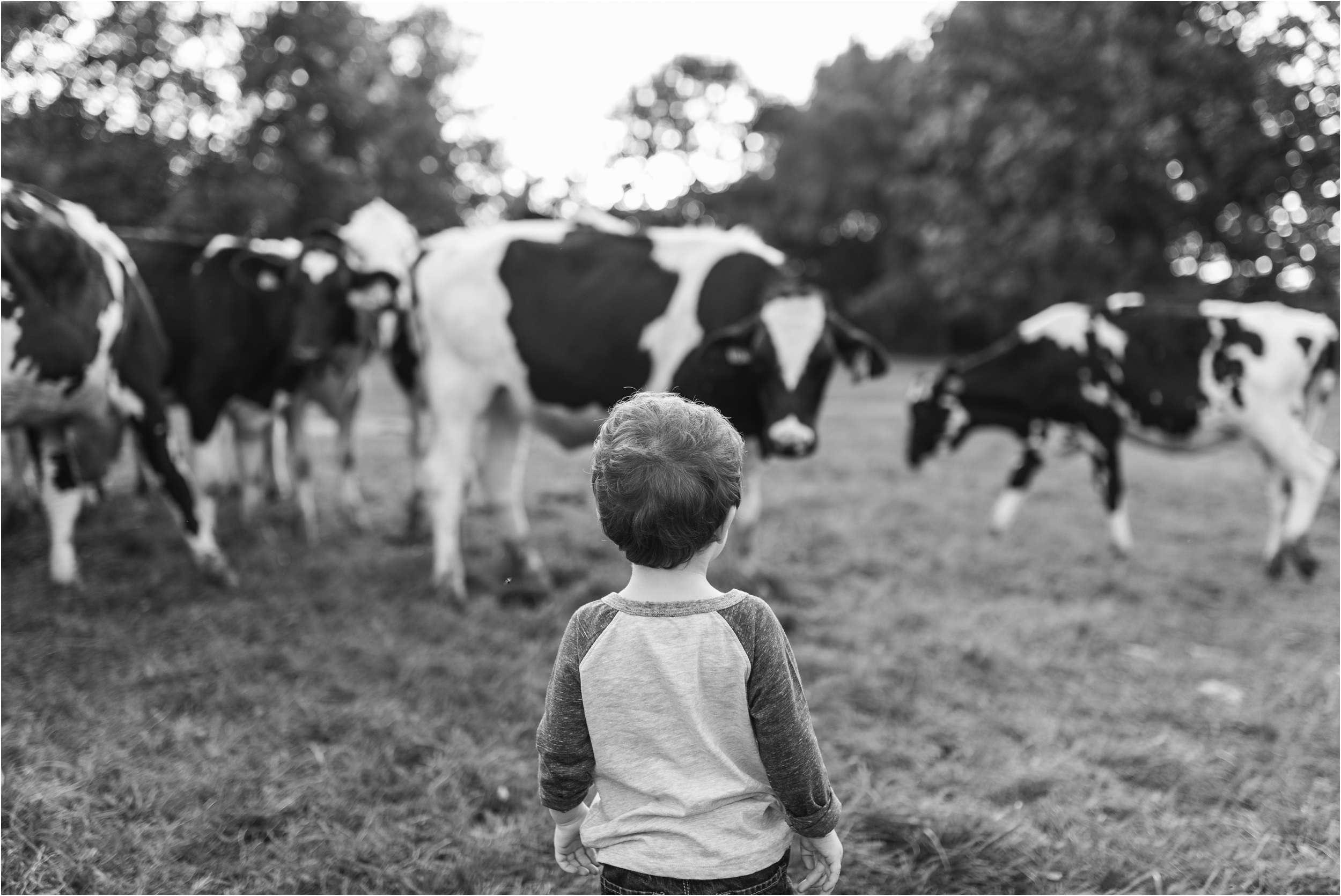 Farm Family Session_Midwest Wedding Photographer_Stephanie Lynn Photography_0087.jpg