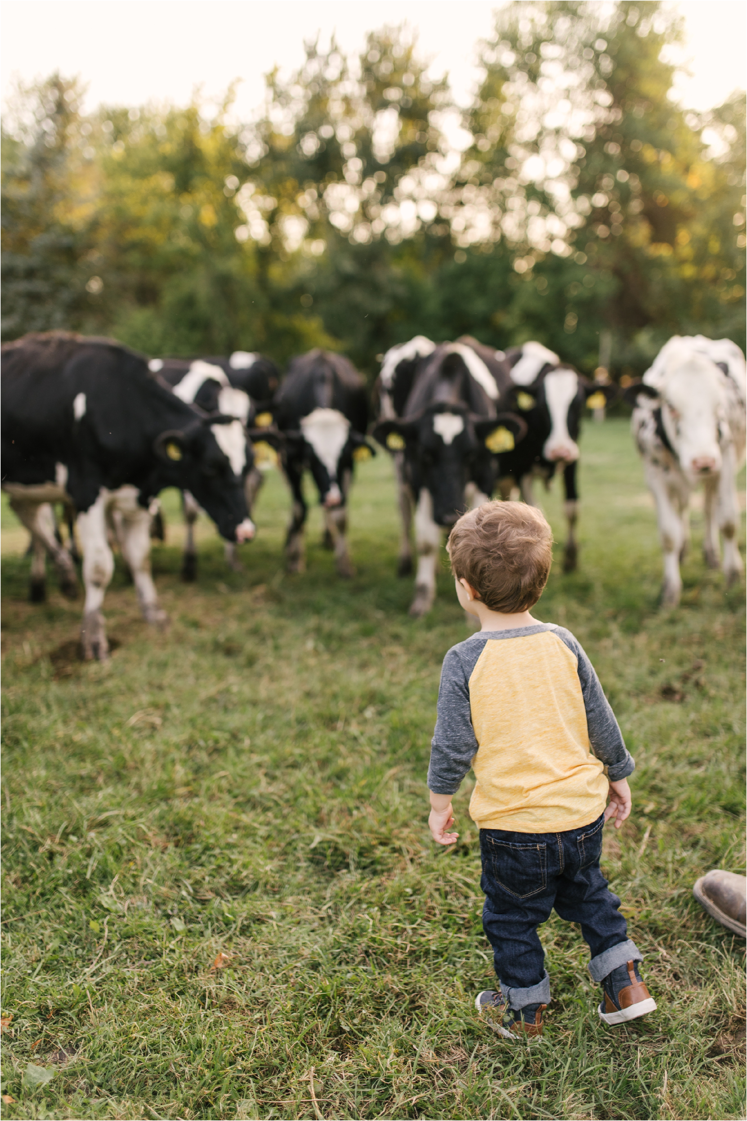 Farm Family Session_Midwest Wedding Photographer_Stephanie Lynn Photography_0089.jpg