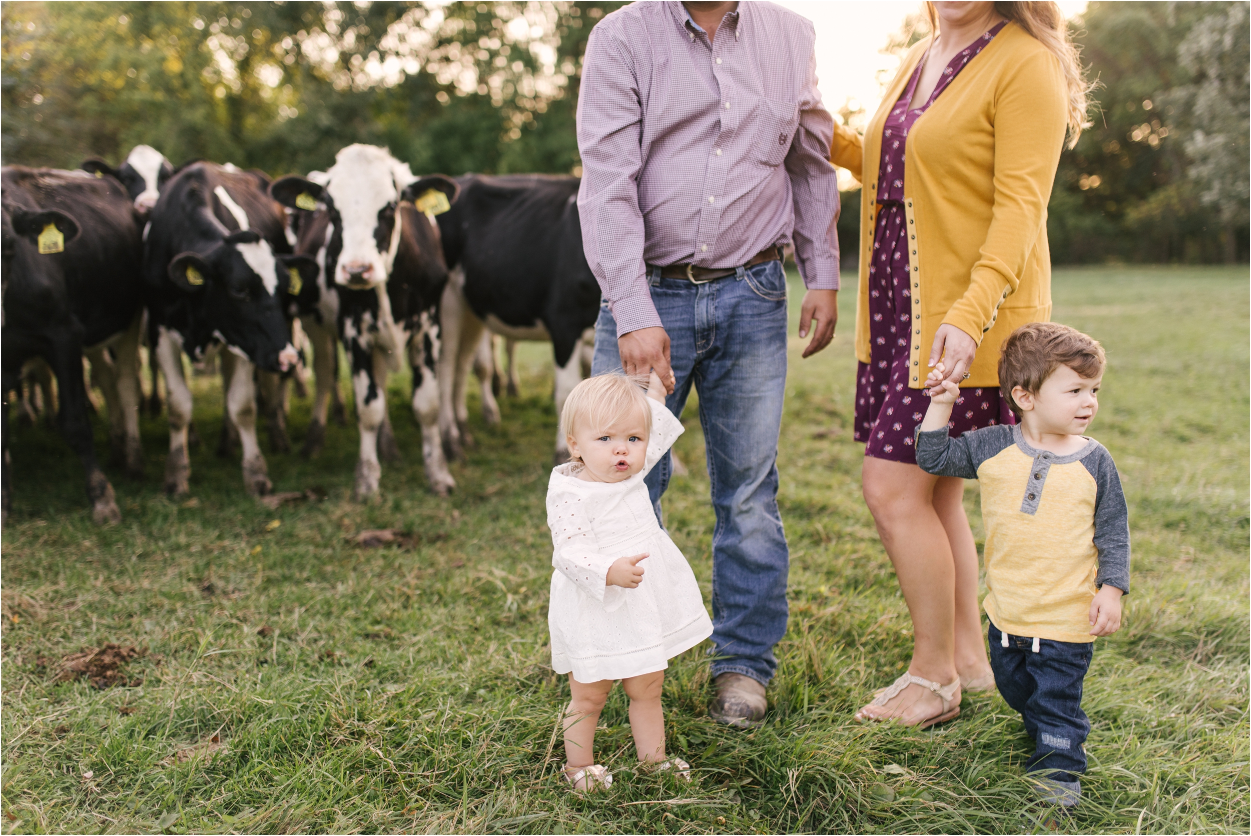 Farm Family Session_Midwest Wedding Photographer_Stephanie Lynn Photography_0083.jpg