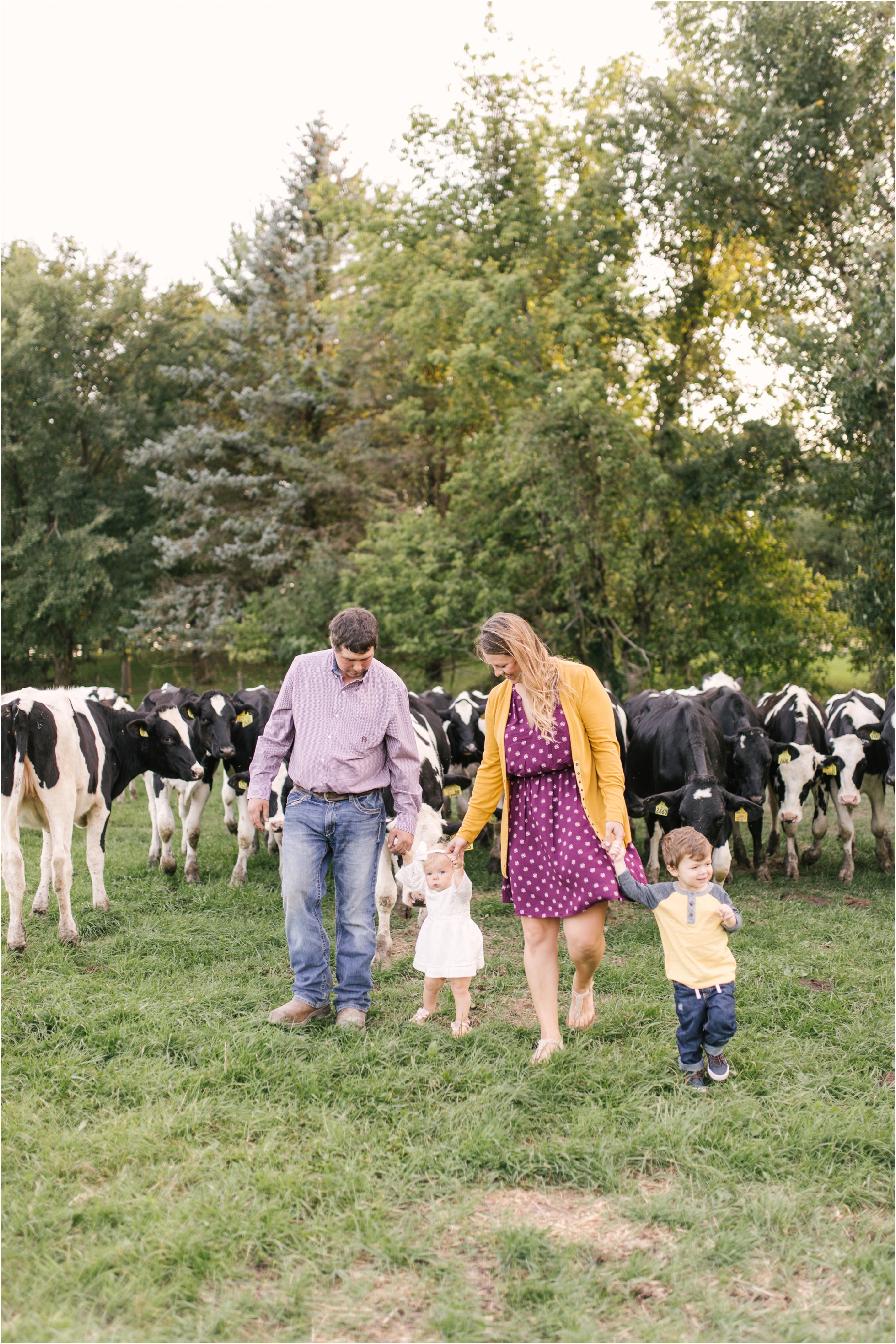 Farm Family Session_Midwest Wedding Photographer_Stephanie Lynn Photography_0078.jpg