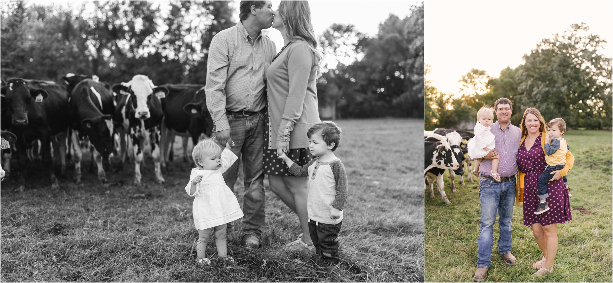 Farm Family Session_Midwest Wedding Photographer_Stephanie Lynn Photography_0072.jpg
