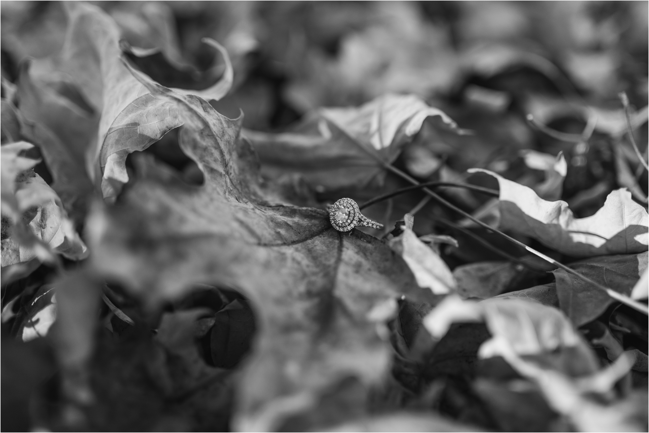 engagement session_fall_minnesota_stephanie lynn photography_0106.jpg