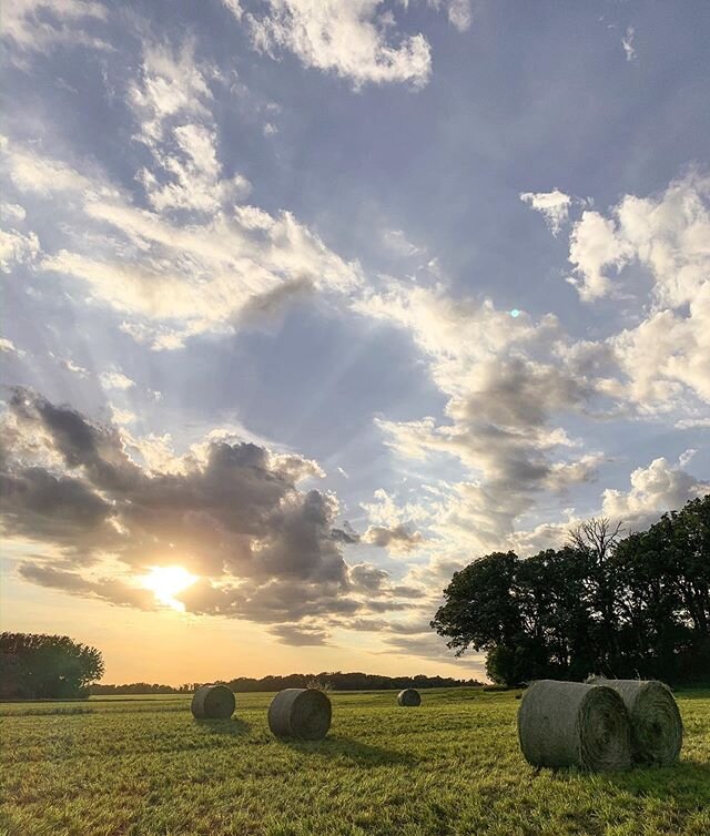 the most perfect day for making hay! then God painted the prettiest sky as I was out hauling bales to my parents farm. the cows will be eating good 🐮