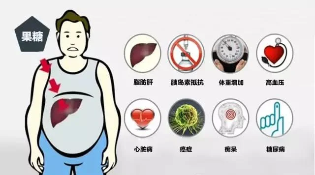 Reference: 果糖 ---美麗的誘惑還是致命的毒藥?