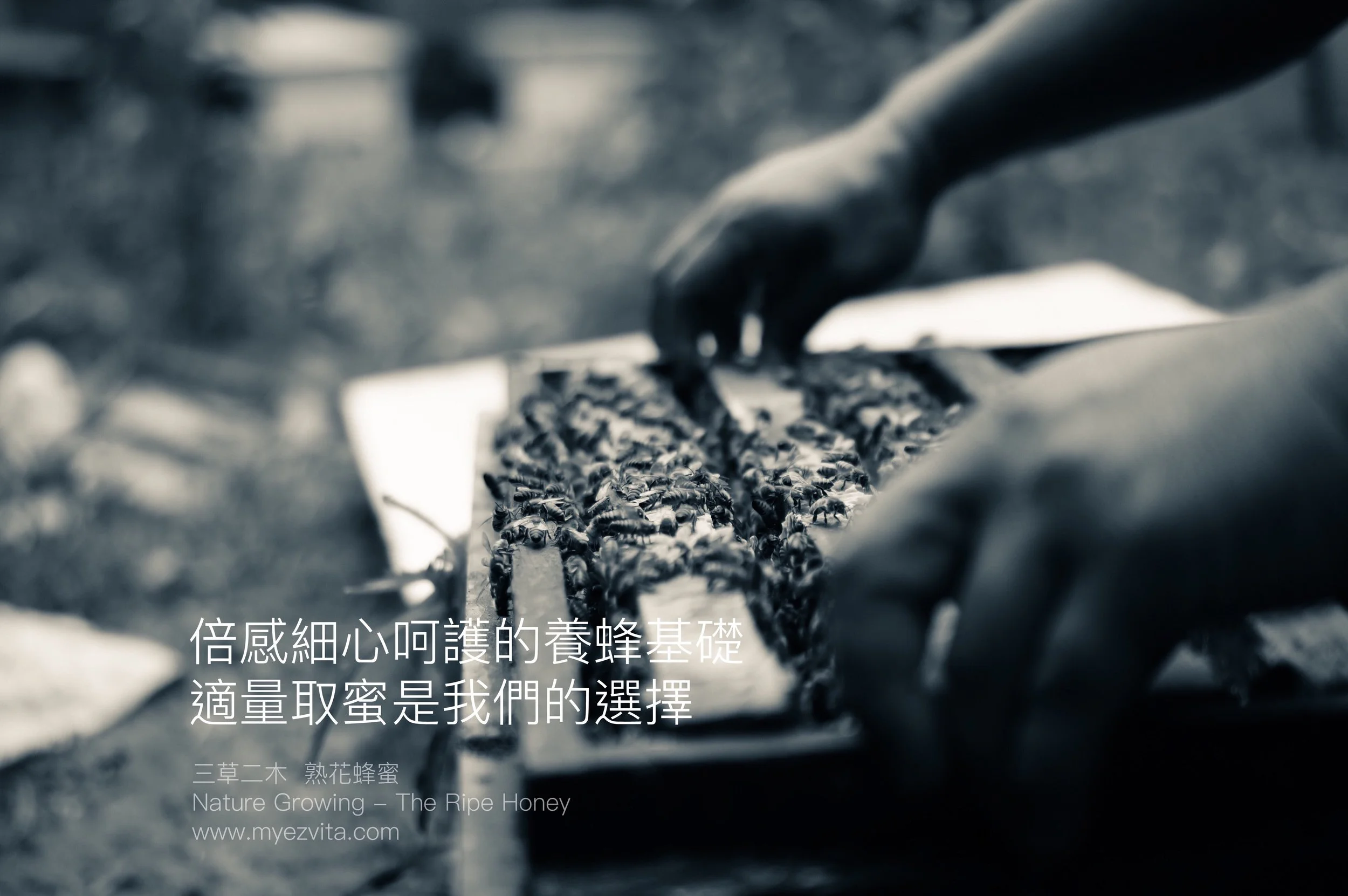 190103 image (6).jpeg
