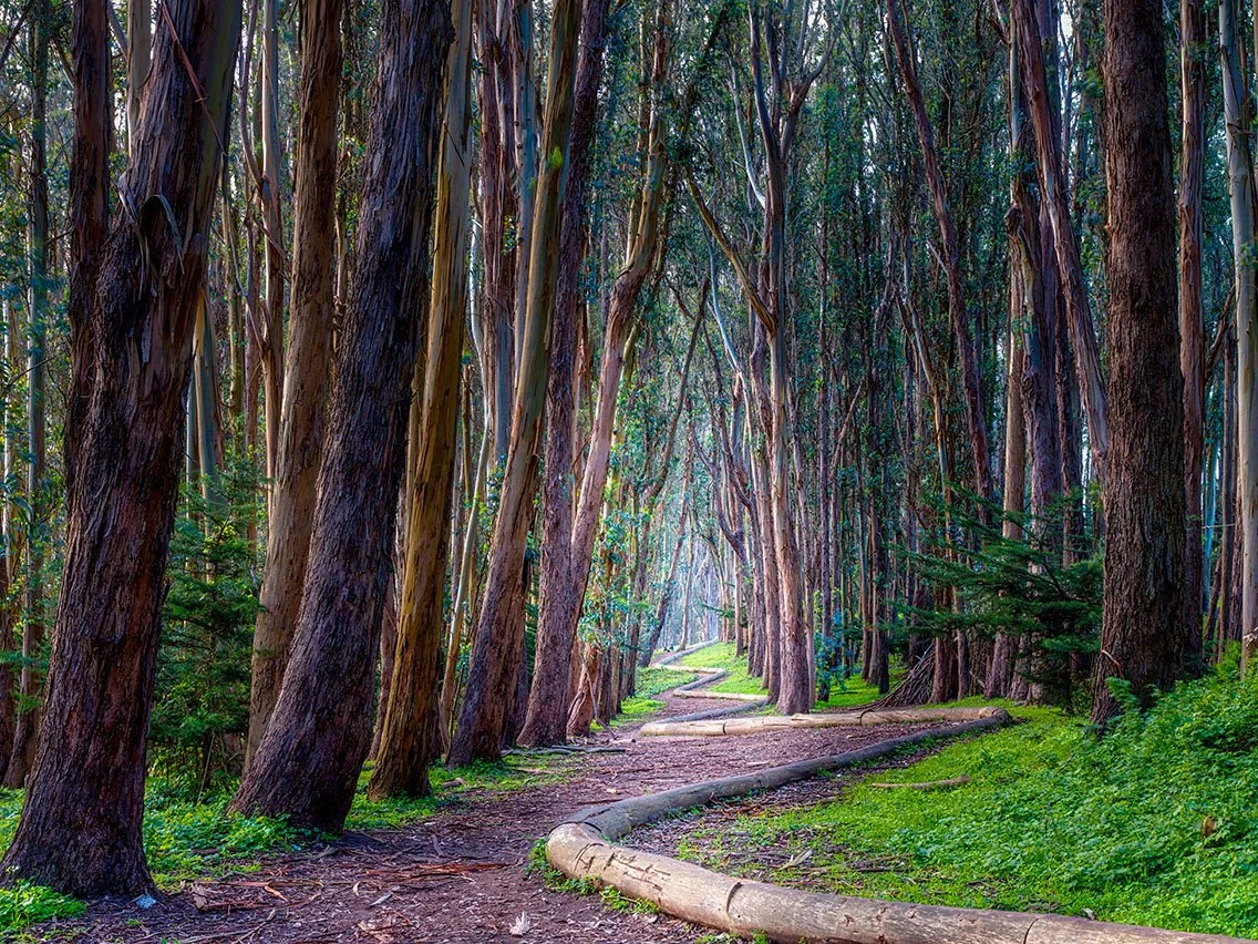 Winter Conscious Women's Hike