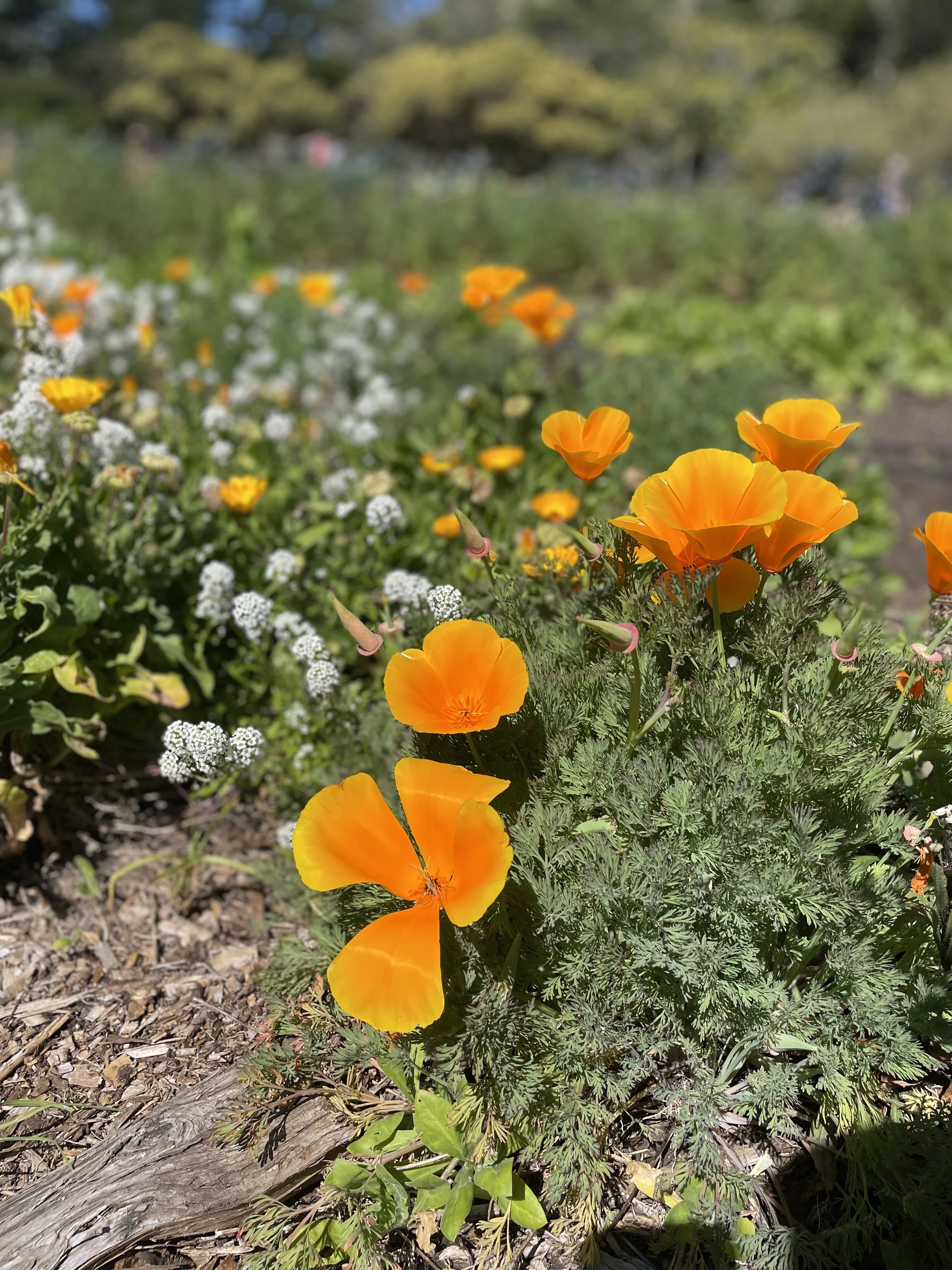 The Seasons Are Changing. And So Am I. 