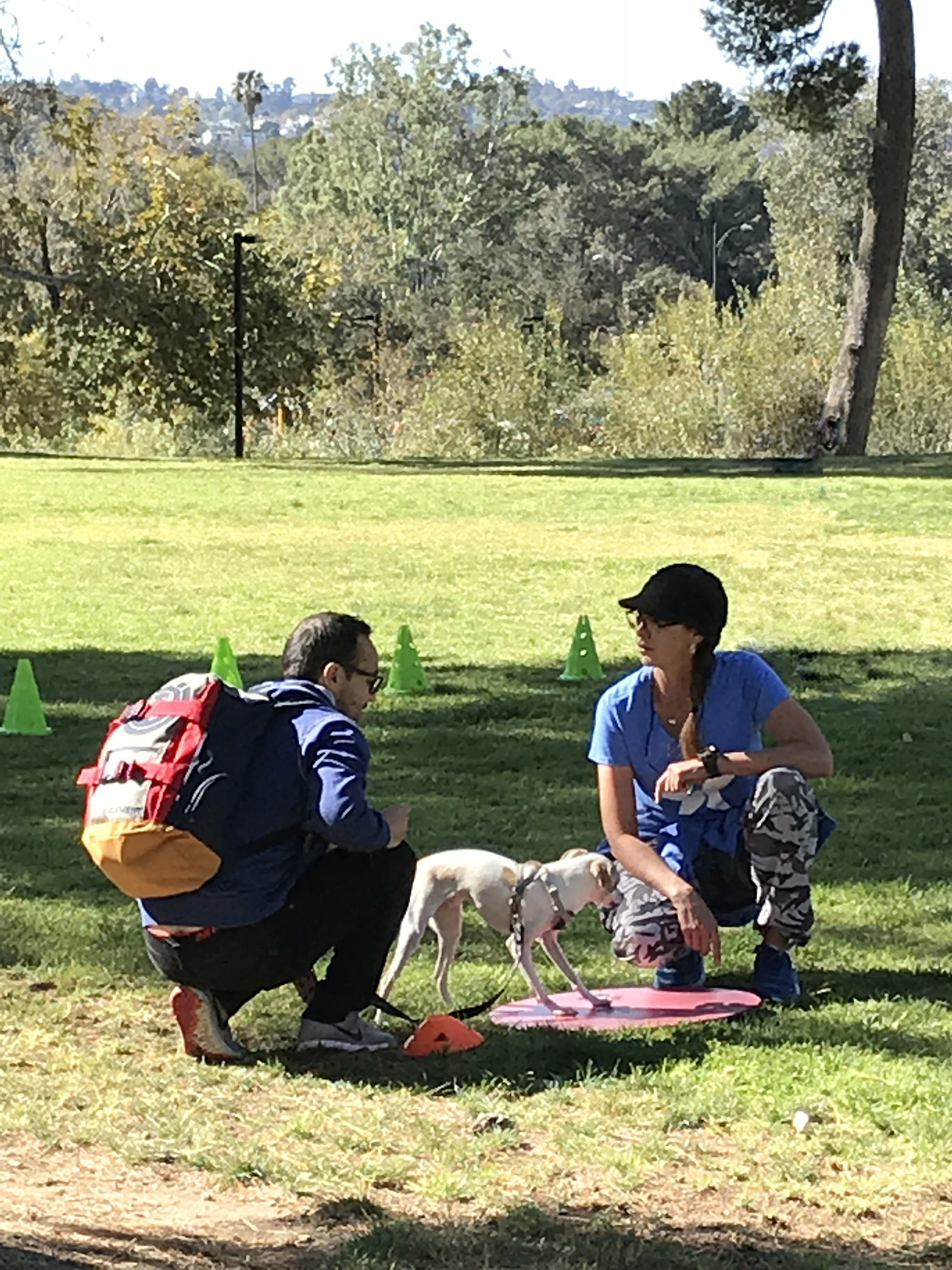 Dog Obedience Training Near Los Angeles, CA