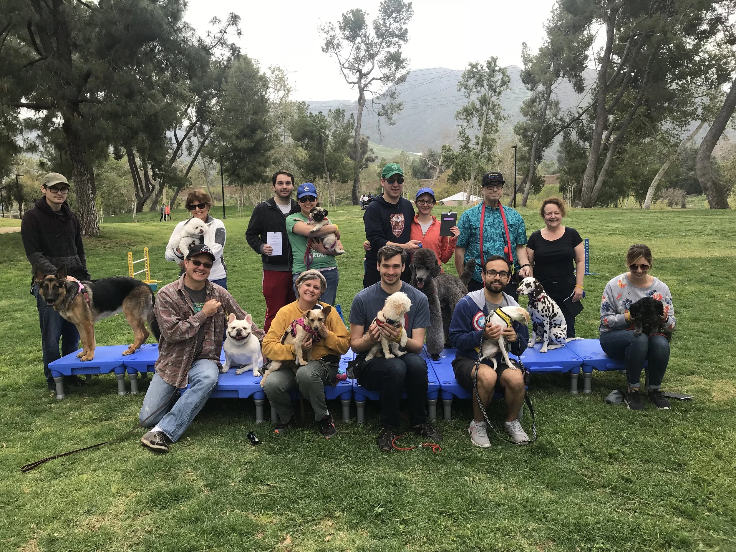 Highly sought after Obedience Classes include Obedience, on-leash socialization as well as minor agility. You receive a set of 7 lessons for the competitive price $175!