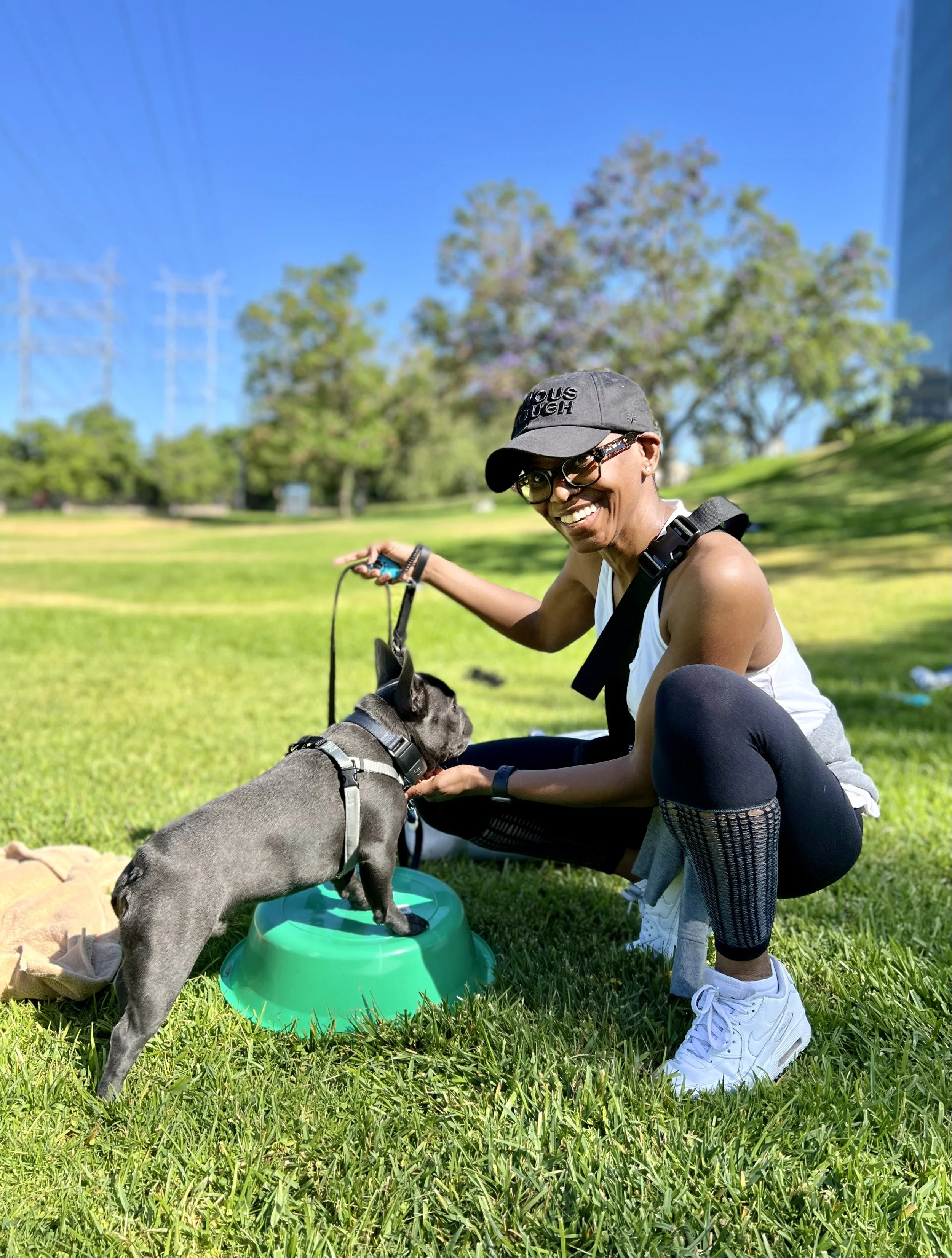 Dog Obedience Training Near Los Angeles, CA