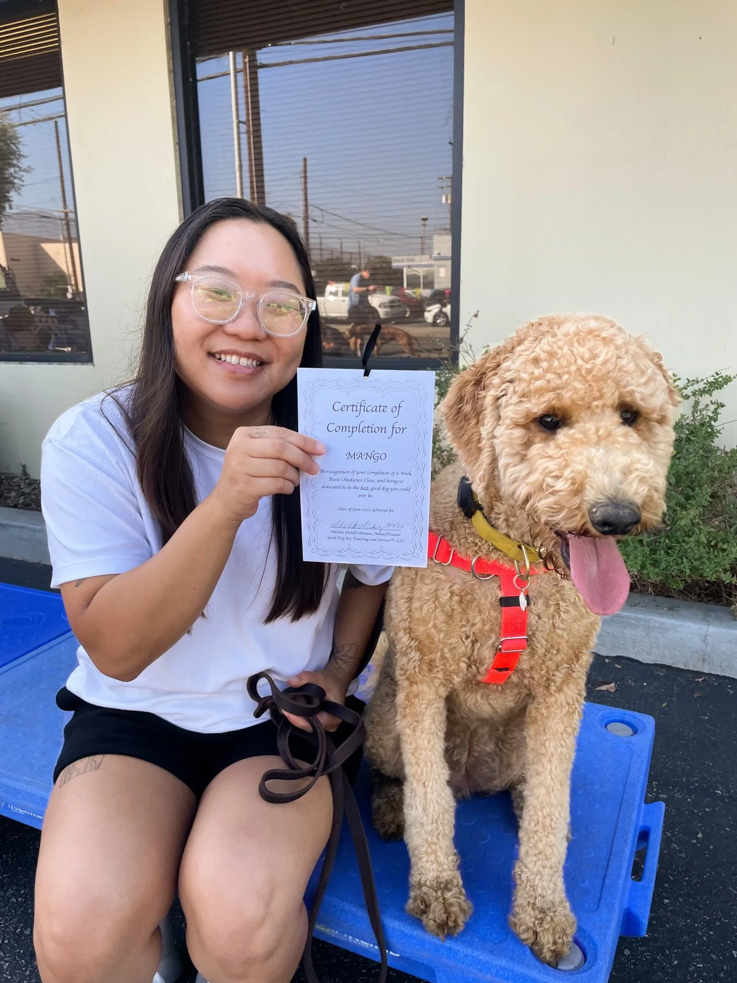 Dog Obedience Training Near Los Angeles, CA