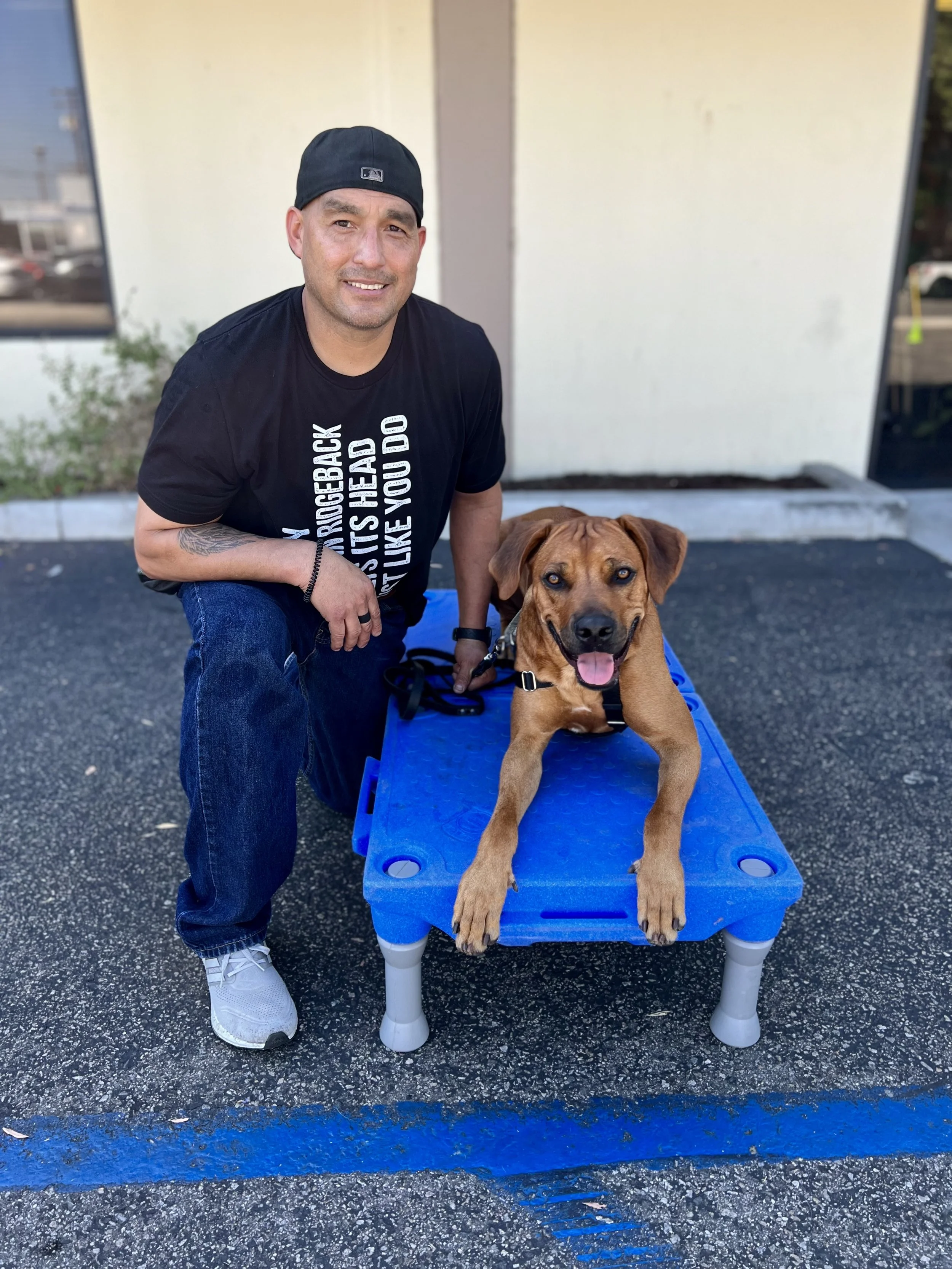 Dog Obedience Training Near Los Angeles, CA