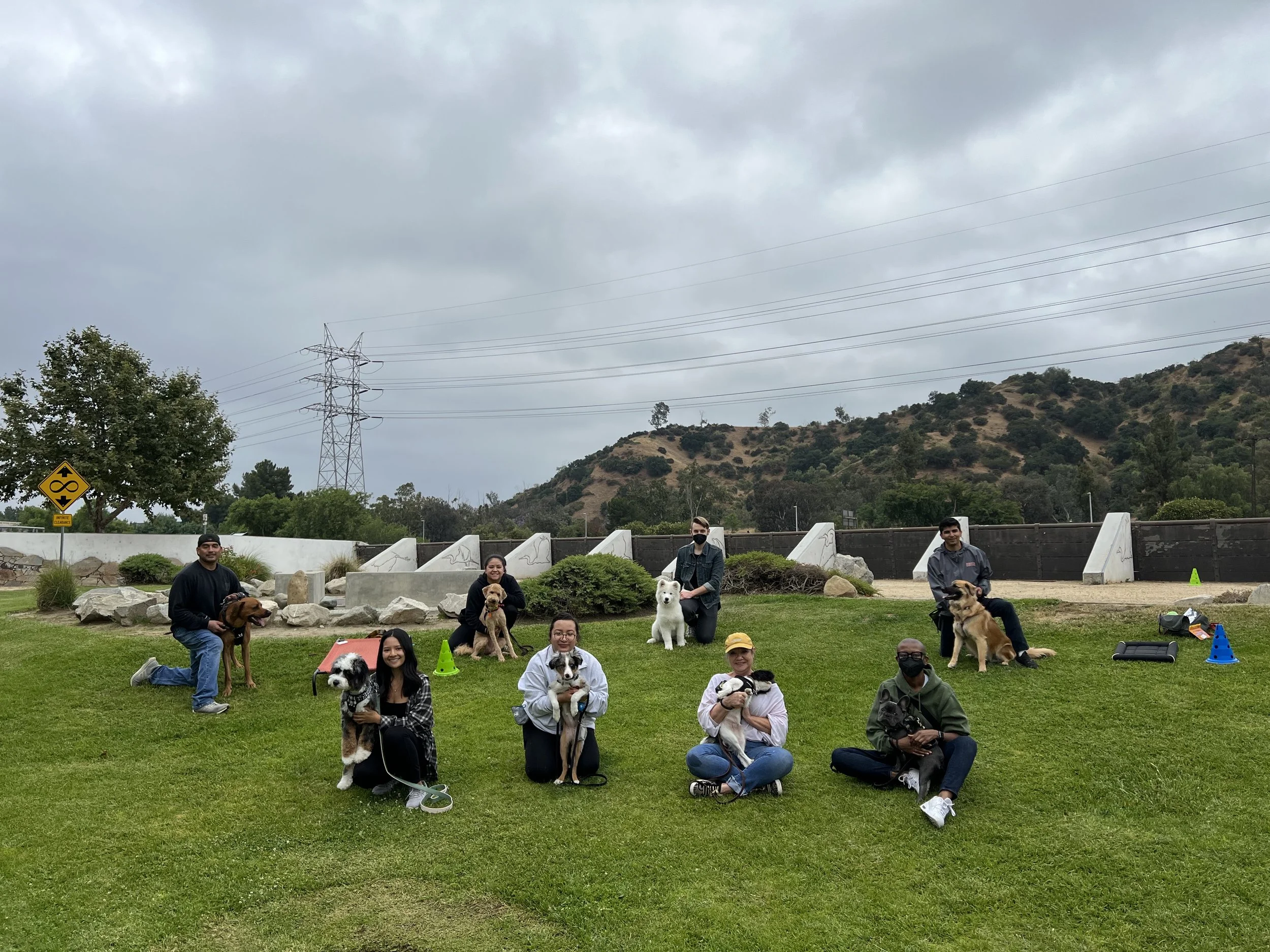 Dog Training Near Los Angeles, CA