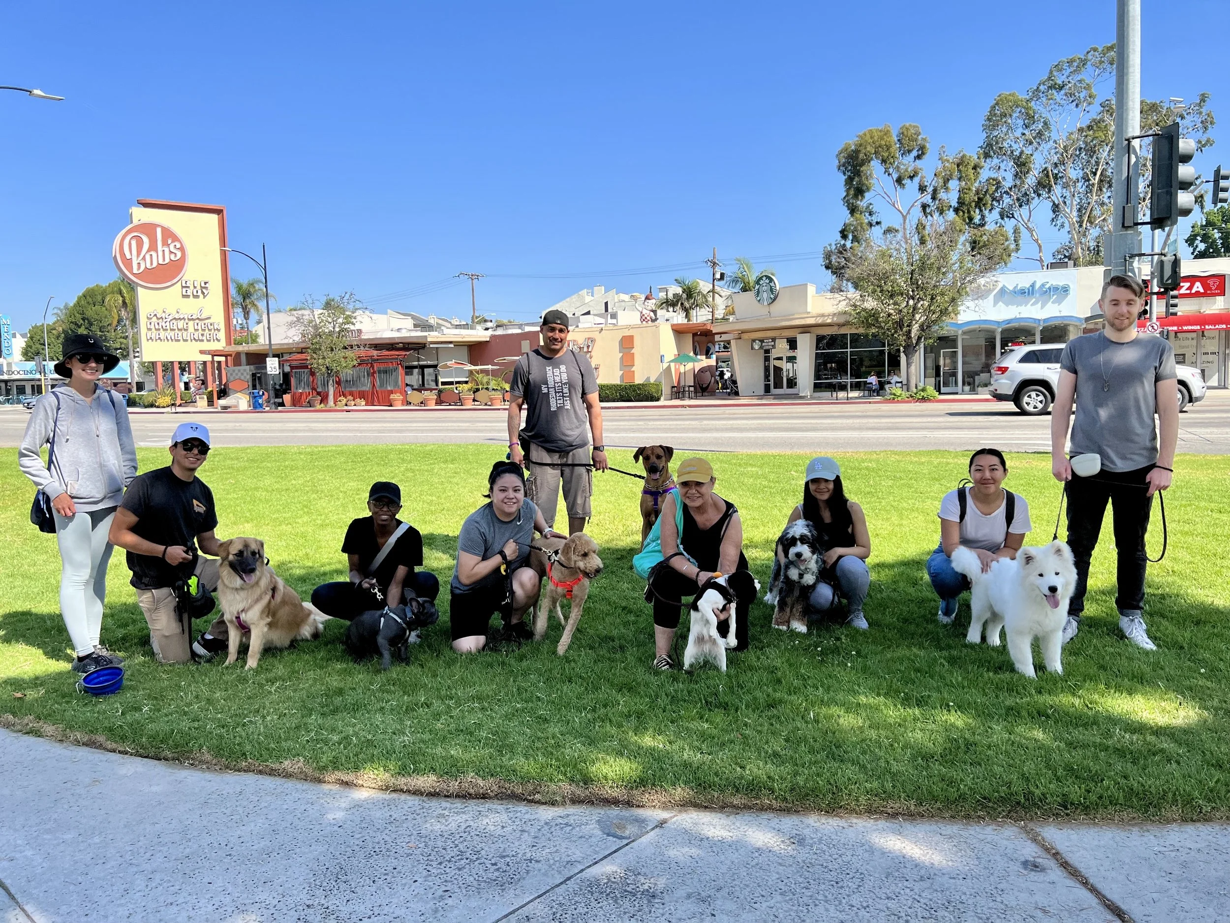 Dog Training Near Los Angeles, CA