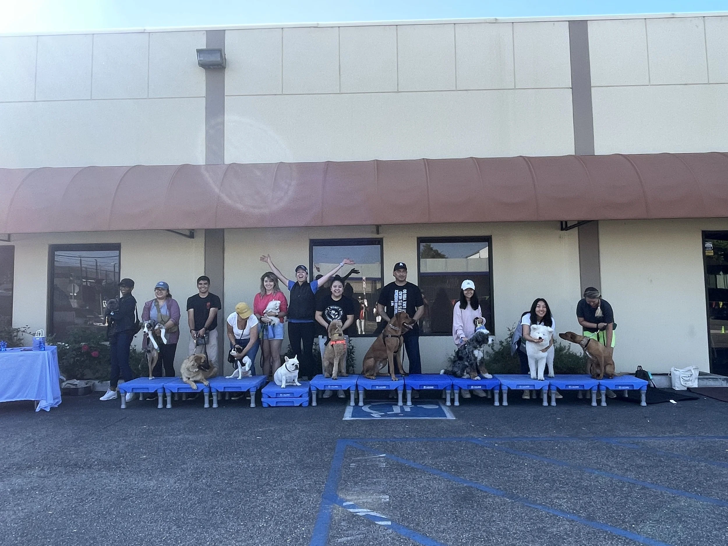 Dog Training Near Los Angeles, CA