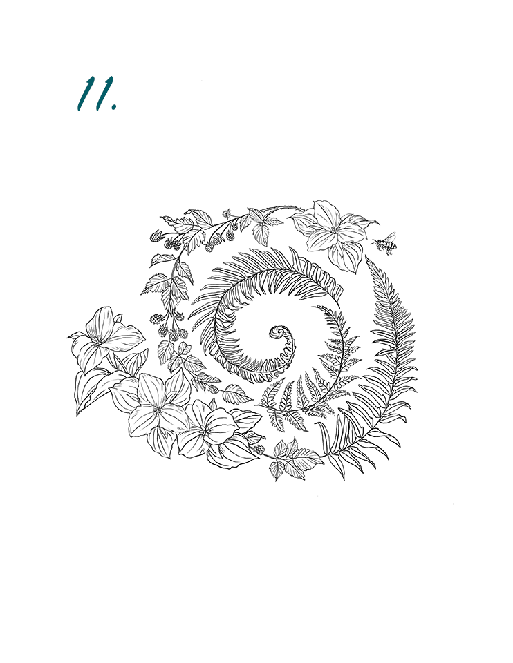 11.png