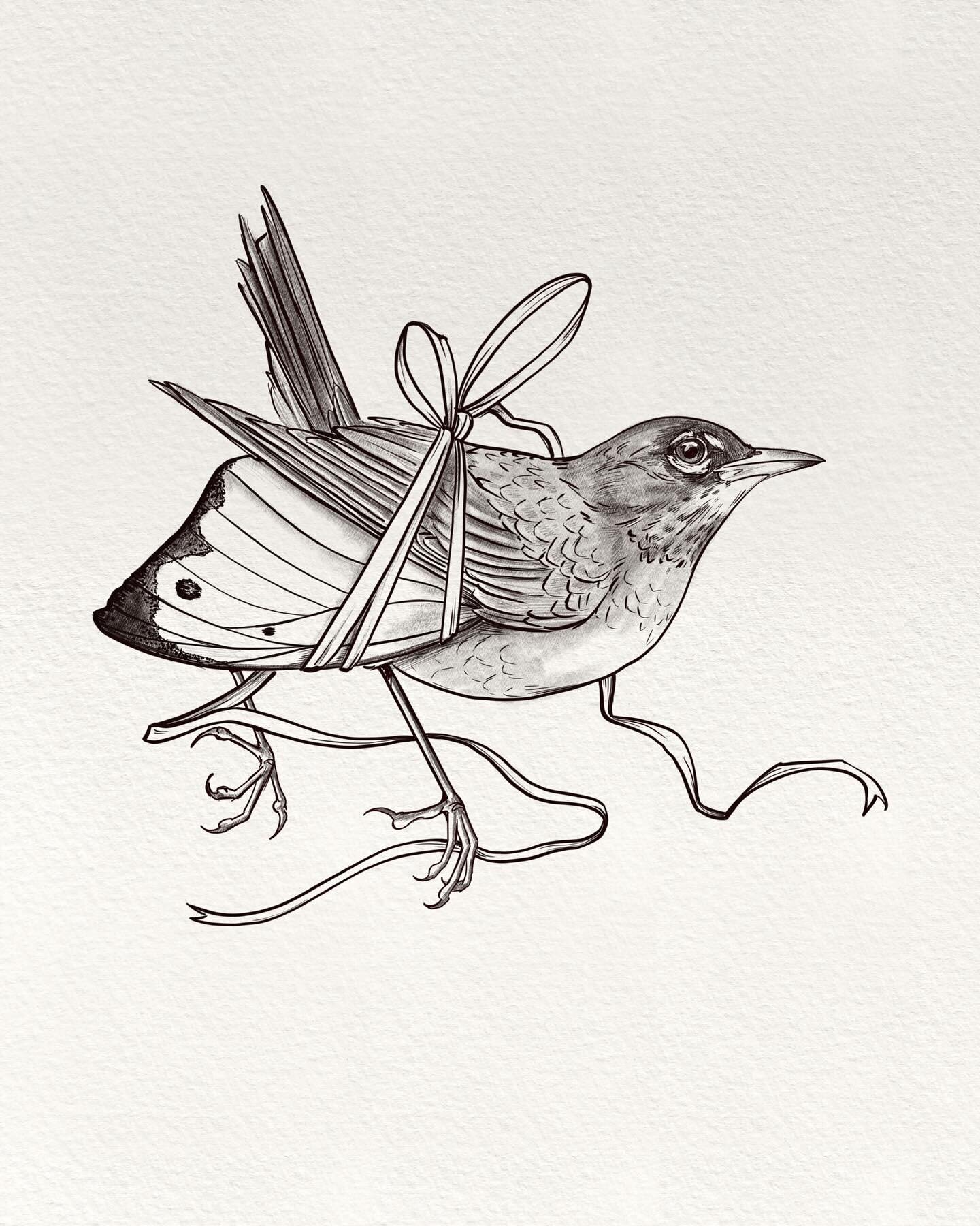 ✨Tranquil✨
Day 30 of following my #drawingparade2023 prompts. 
Watching birds do their thing is one of the most peaceful pastimes for me, even tho much of the birds I see are in my own backyard. Robins in particular, showing up simultaneously while I