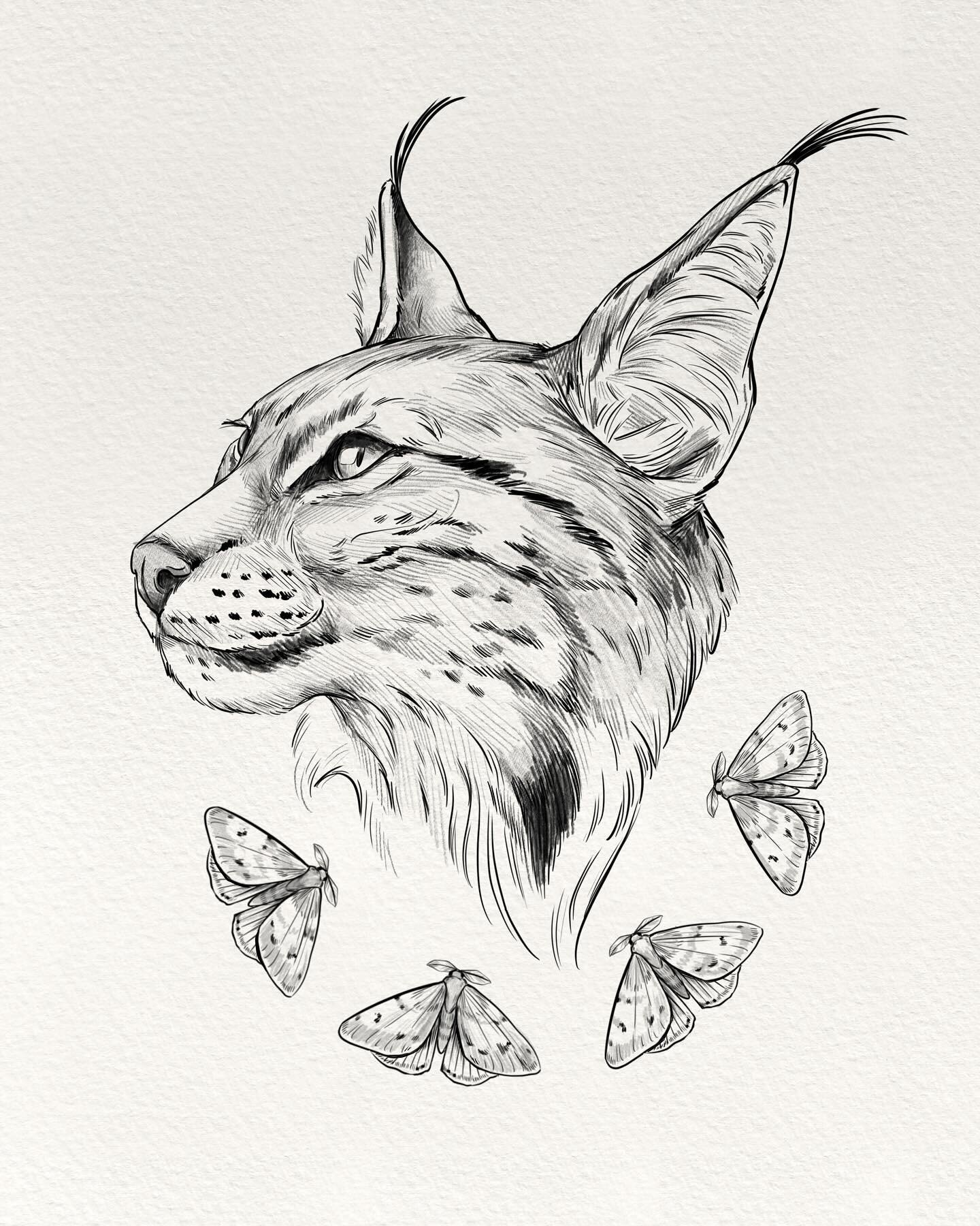 ✨Lynx✨
Day 29 of following my #drawingparade2023 prompts. 
Ayyyy two in one day! Still behind, but if I can draw two tomorrow, I will actually finish in time. Kept things somewhat simple with this one - just a lovely portrait 🐱 

🤞

🤞

🤞

@birdho