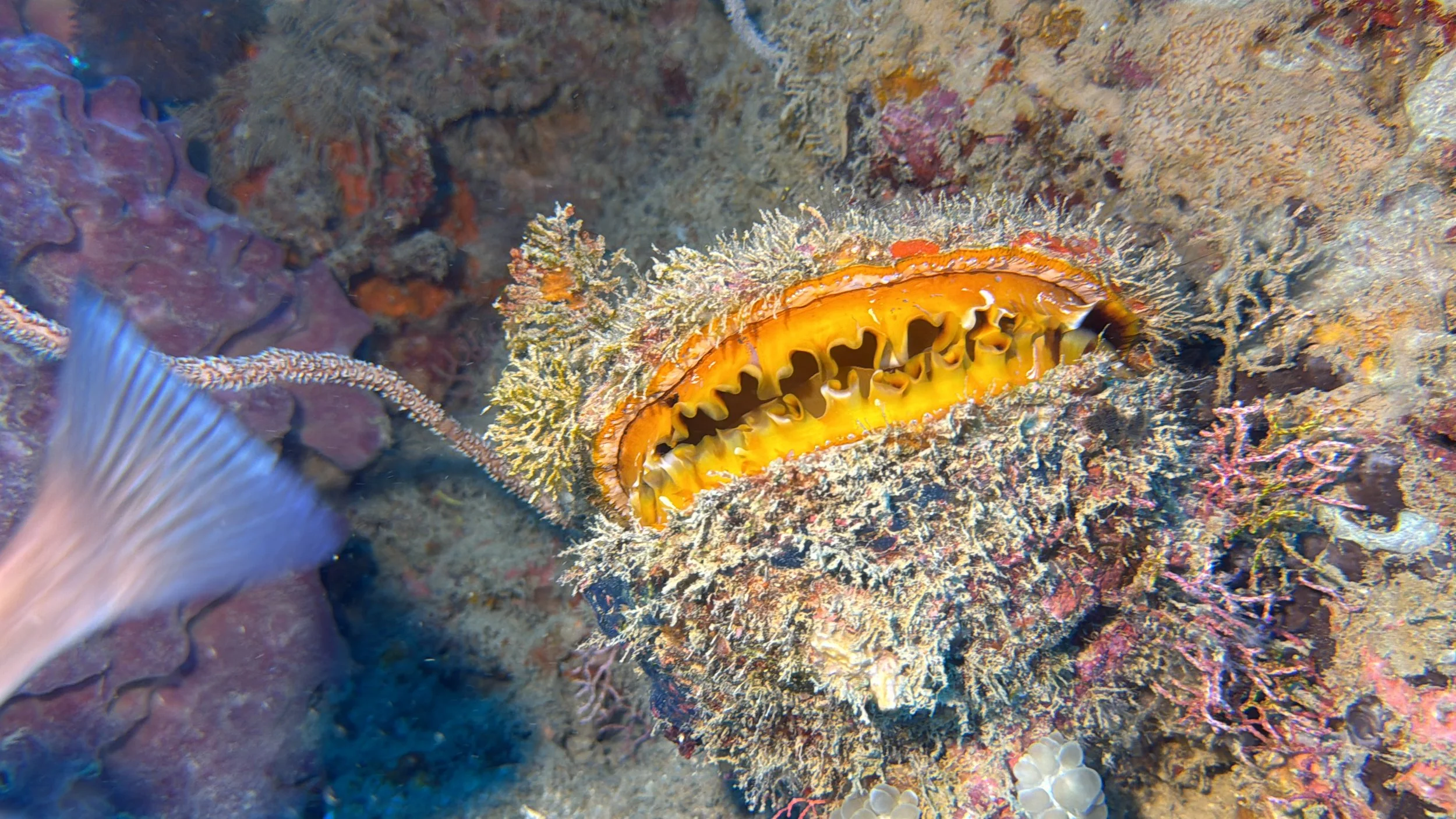 Photo 25-09-2024, 8 57 25 AM.jpg