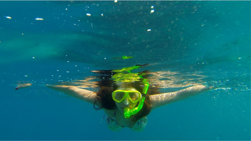 Snorkling trips from 293 on Komba