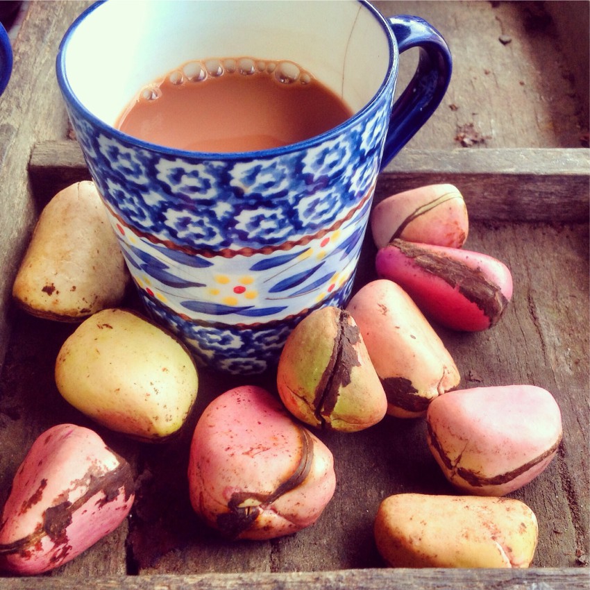 Tea and nuts served at 293 on Komba