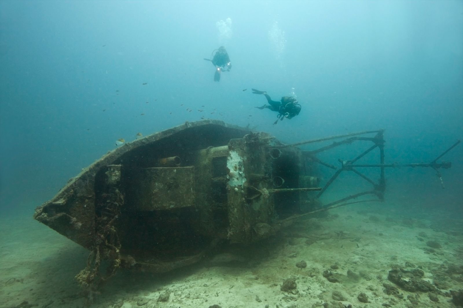 Aaron Gekoski Diving (24).jpeg