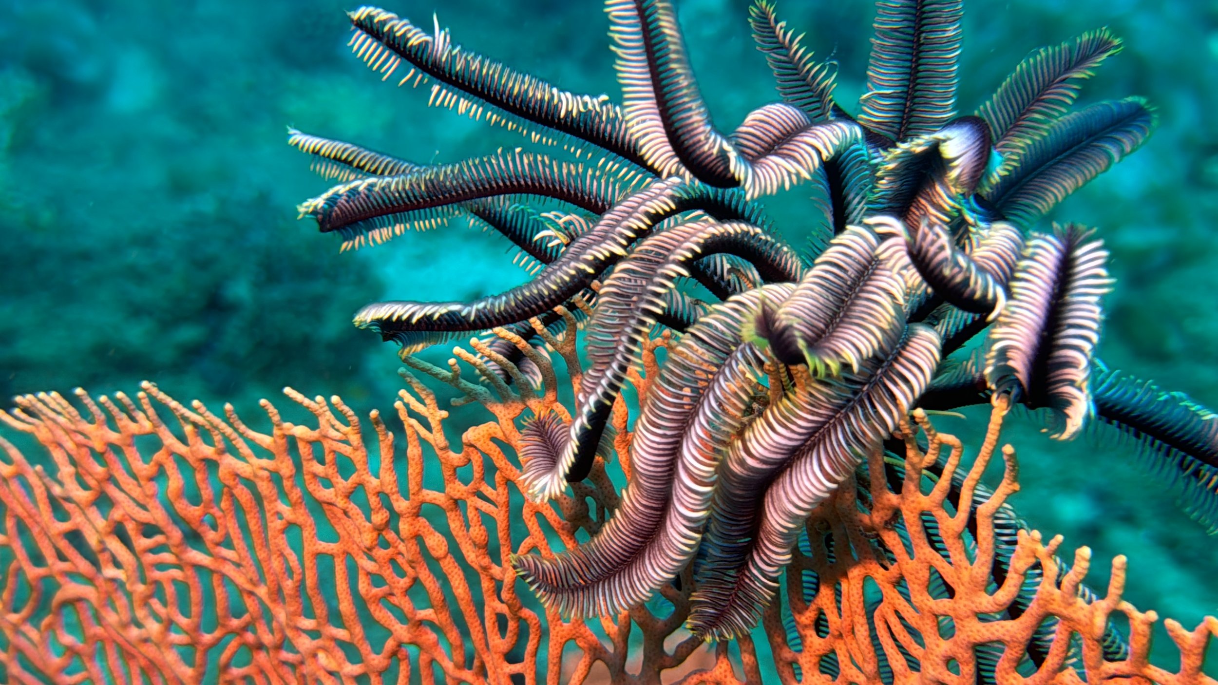 Photo 25-09-2024, 8 52 03 AM.jpg