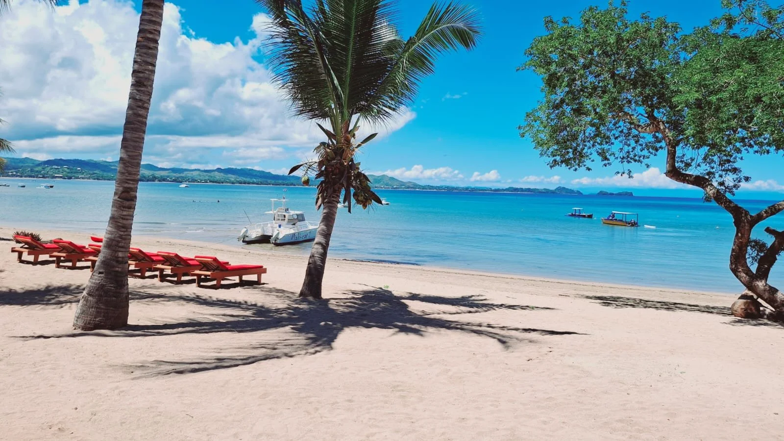 WhatsApp Image 2025-04-05 at 10.26.07_4d732a6d.jpg