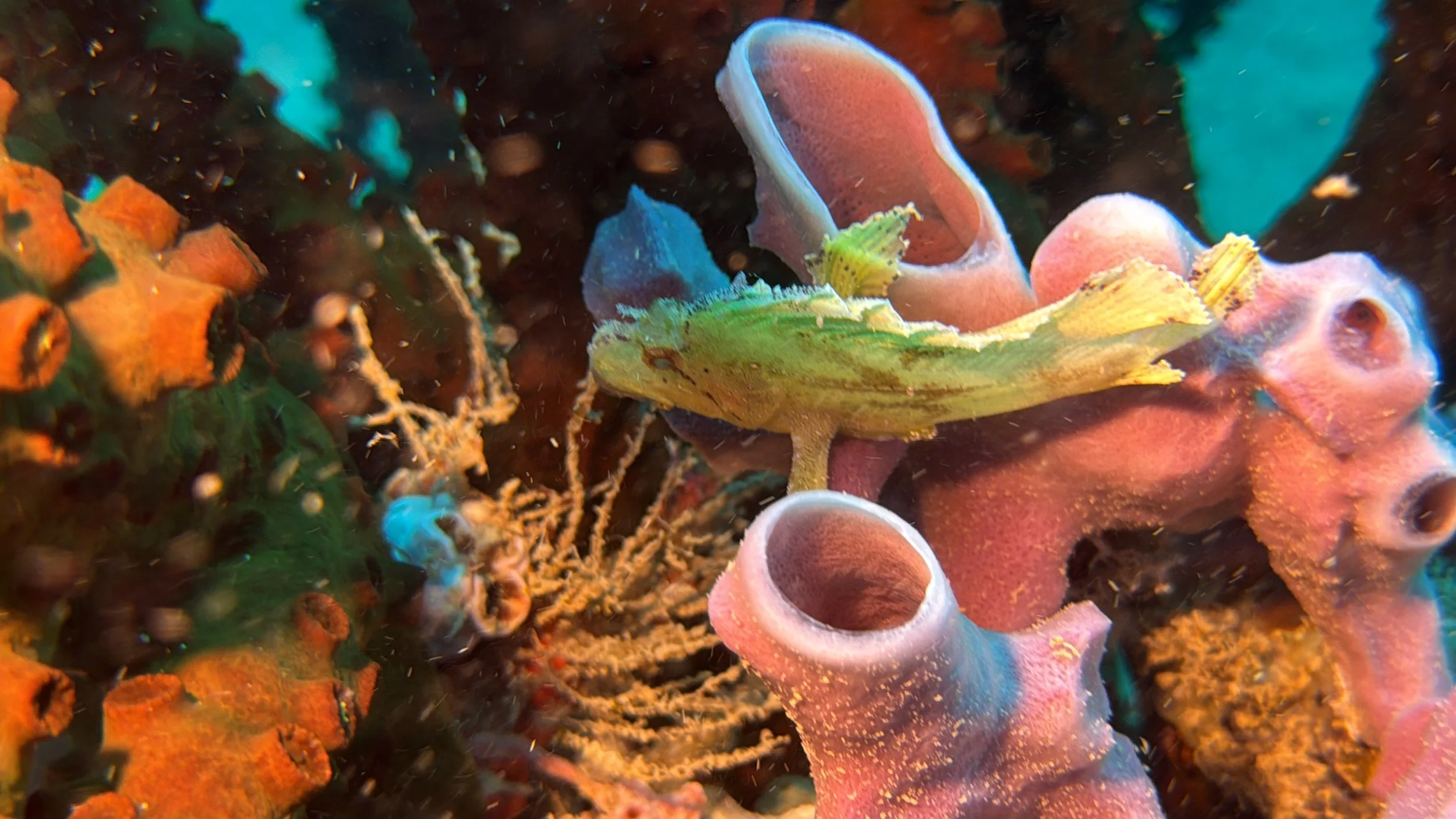 Photo 25-09-2024, 8 32 19 AM.jpg