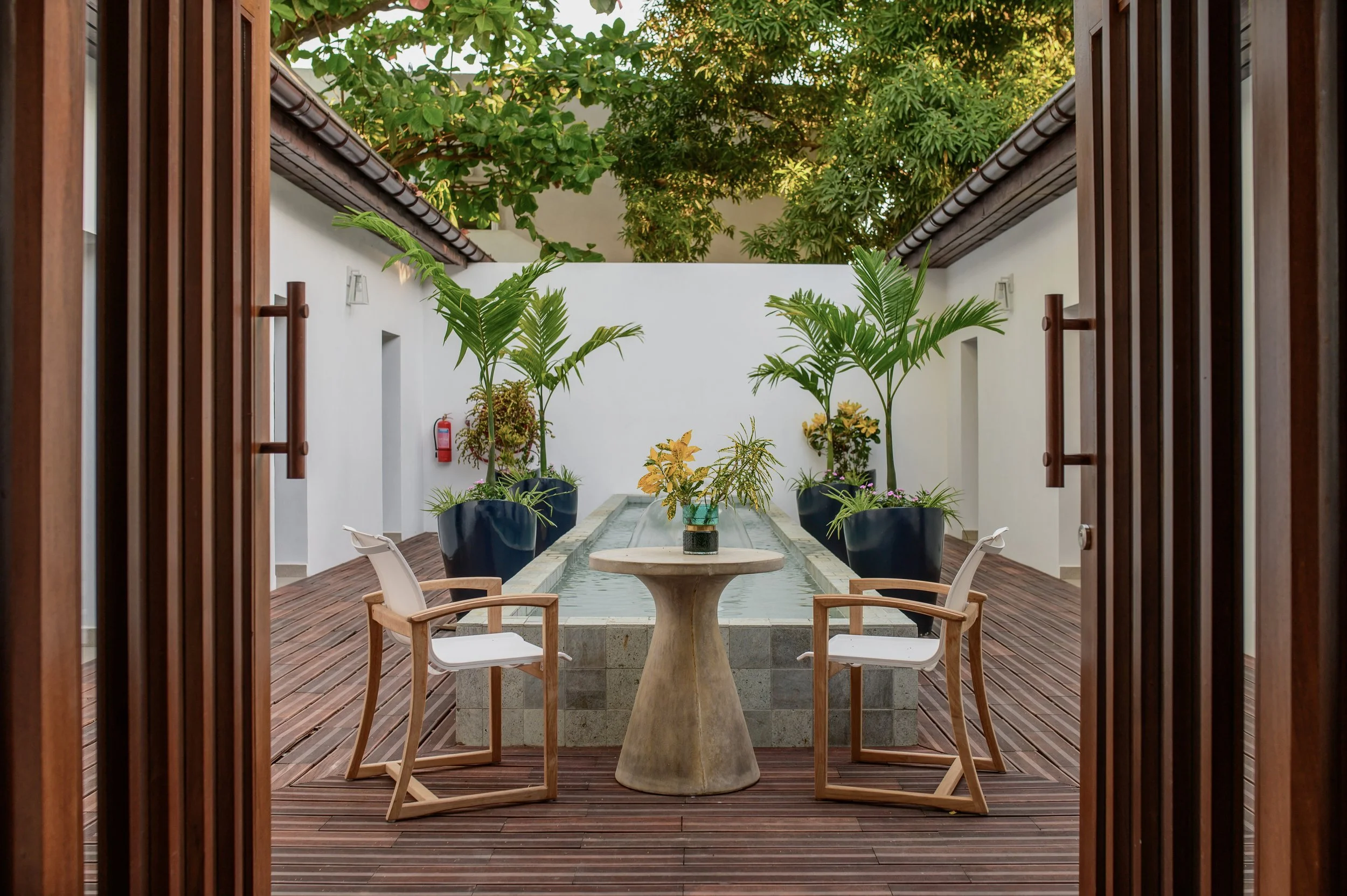 heliconia_spa2.jpg