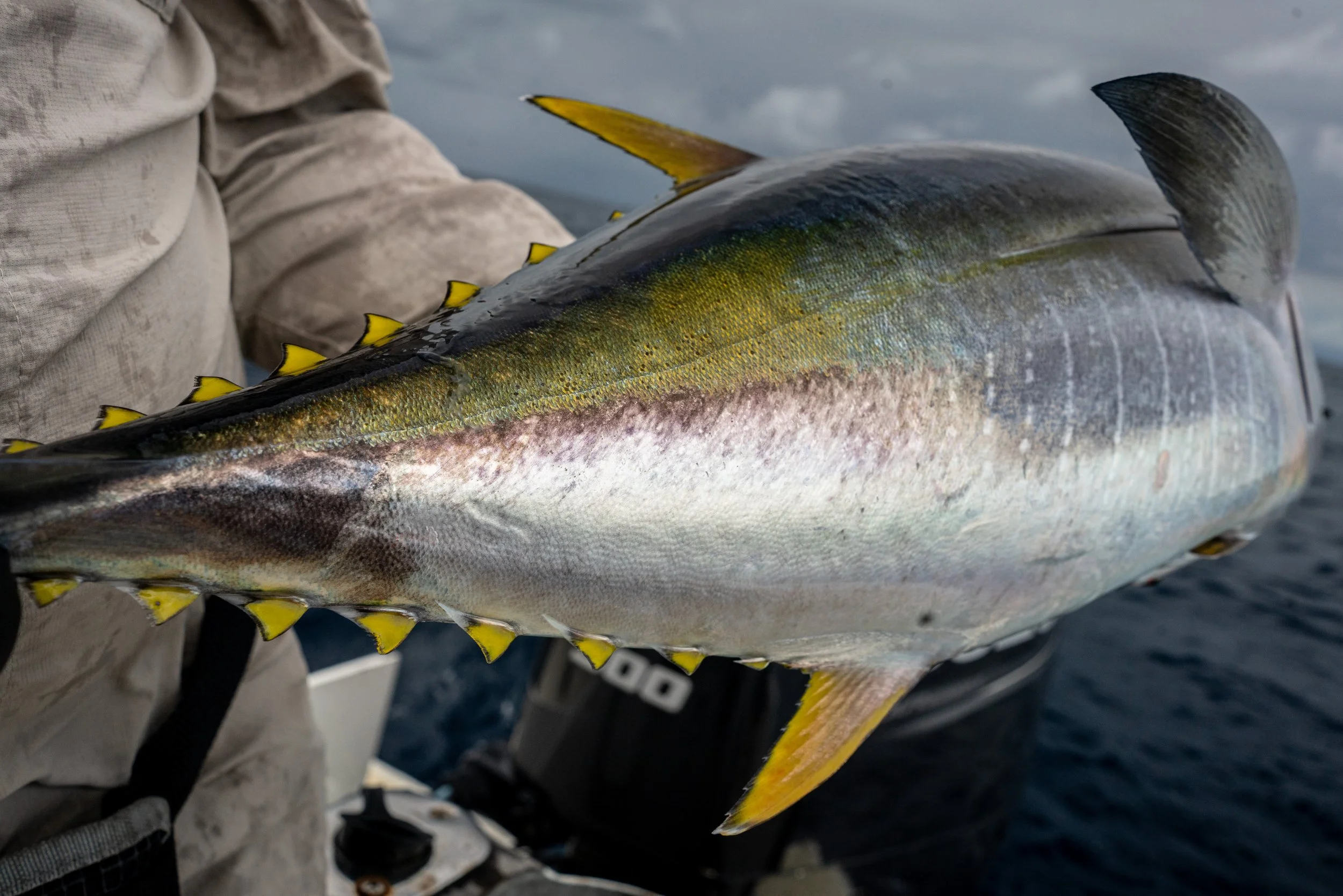 Madagascar 2023-50.jpg