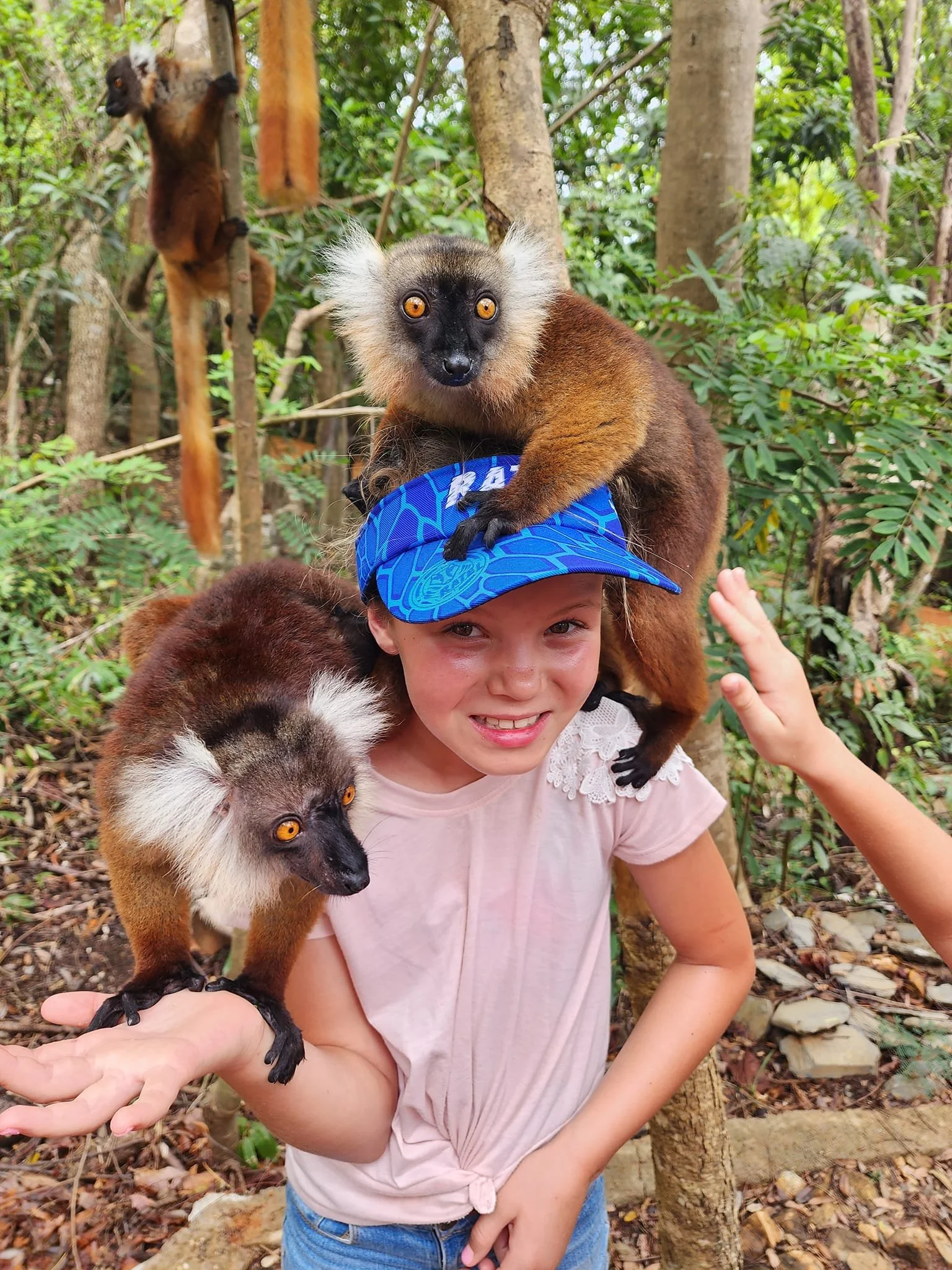 Lemur on the shoulder.jpg