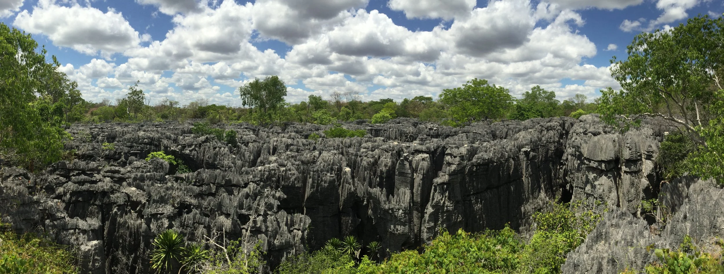 Madagascar limestone landscape