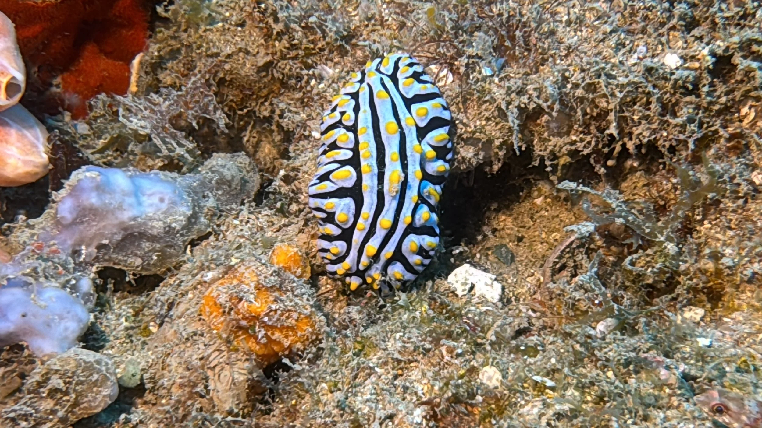 Photo 25-09-2024, 8 53 29 AM.jpg