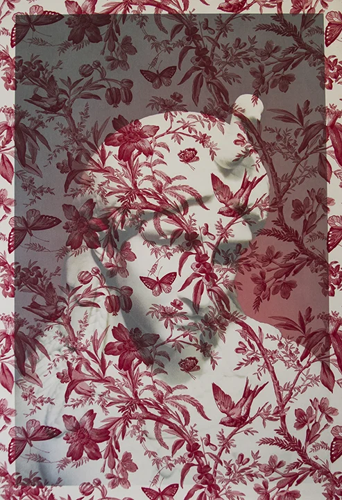 Marble bust of Aphrodite Berlin ( on red butterfly toile) 2016