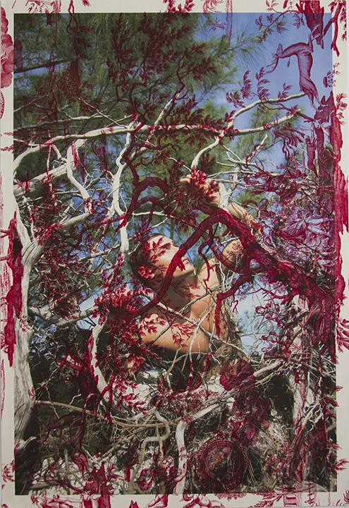 Arnaud Caizergues trees North Captive (on red mythic toile) 2013