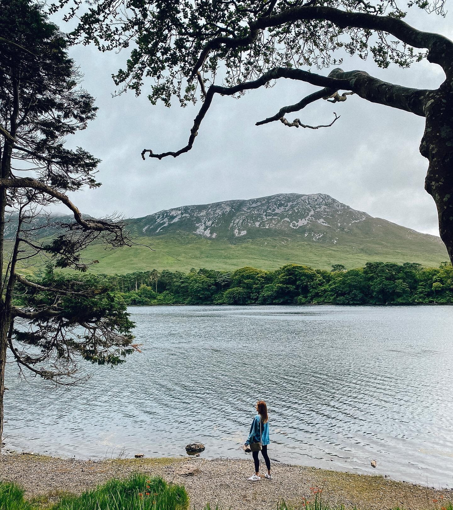 Missin&rsquo; being across the pond 💚
.
.
.
#ireland #wildatlanticway #travelphotography #travelblogger #travelgram #solotravel #kylemoreabbey #igers #instagood #connemara #irishcoast
