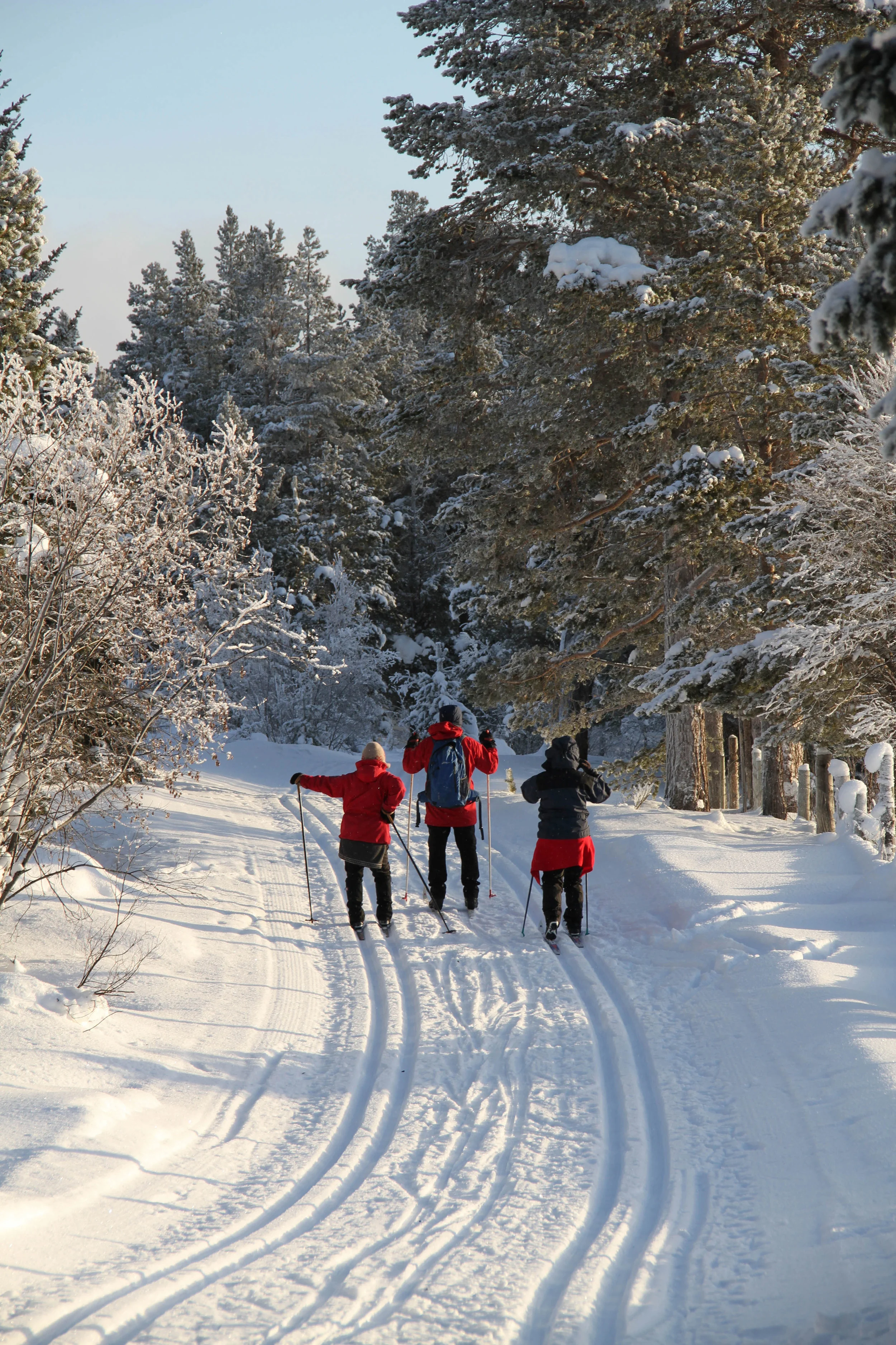 Kvarbergsåsen_vinter_06.jpg