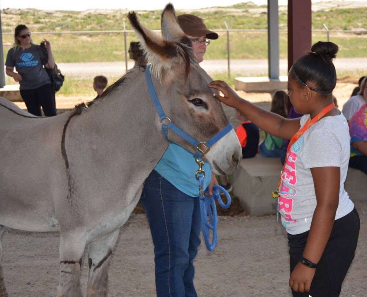 wildhorse_volunteer_photo1.jpeg