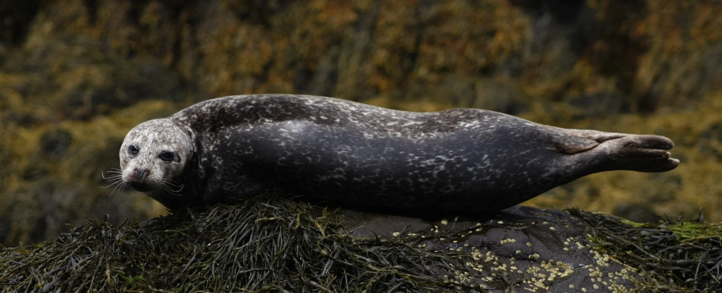  Photograph by Ruari Law 