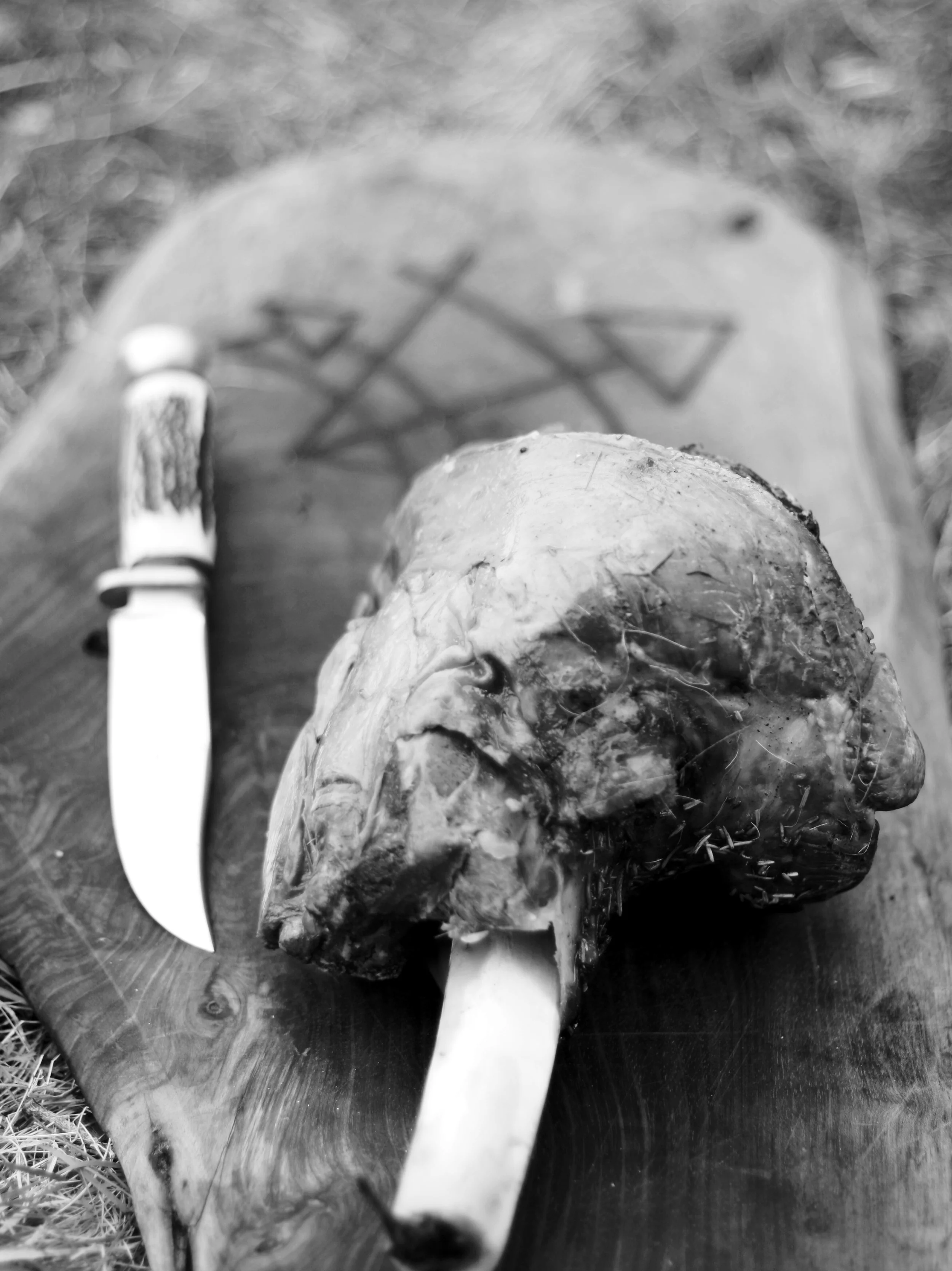 Venison cooked in underground oven.
